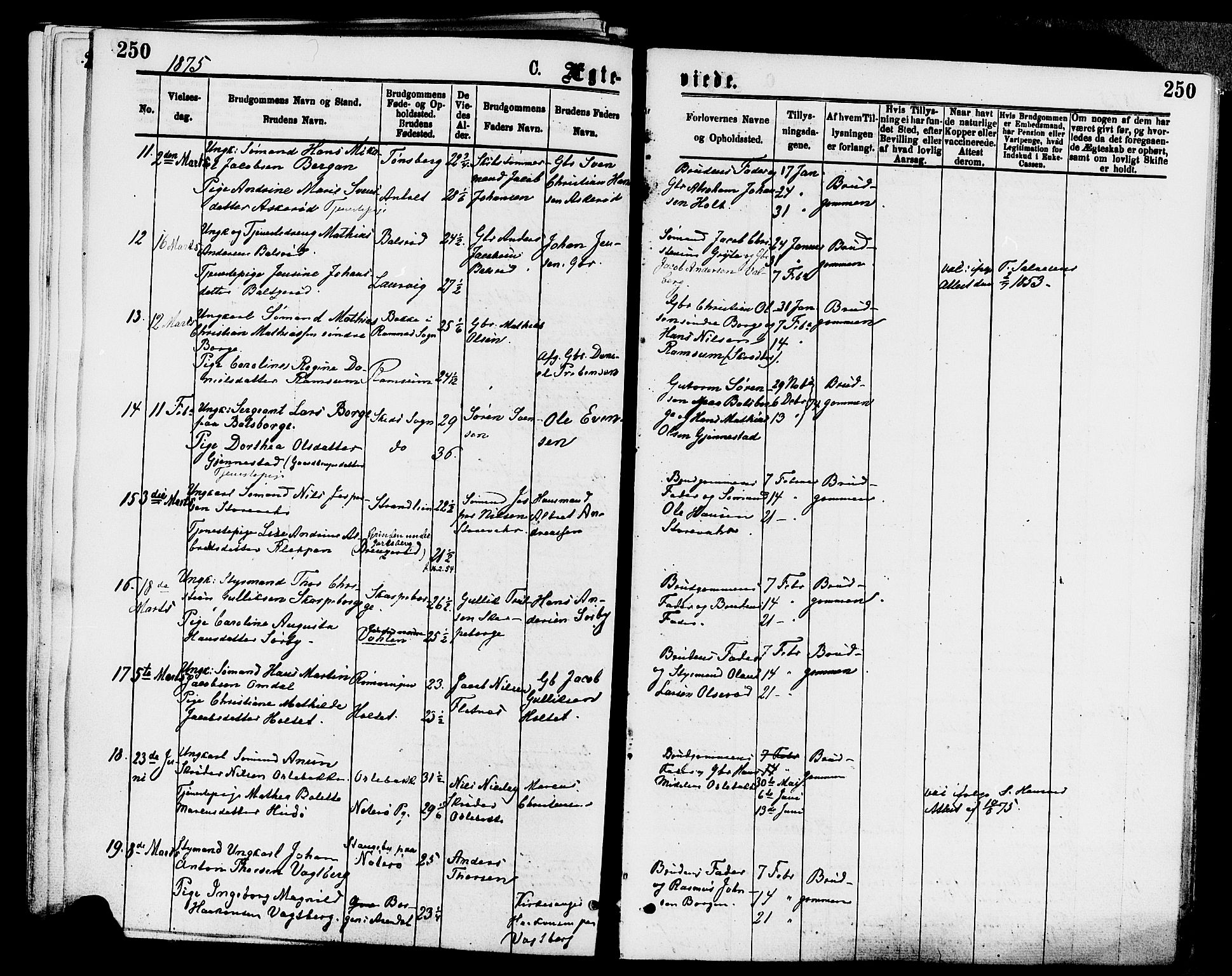 Stokke kirkebøker, SAKO/A-320/F/Fa/L0009: Parish register (official) no. I 9, 1872-1883, p. 250