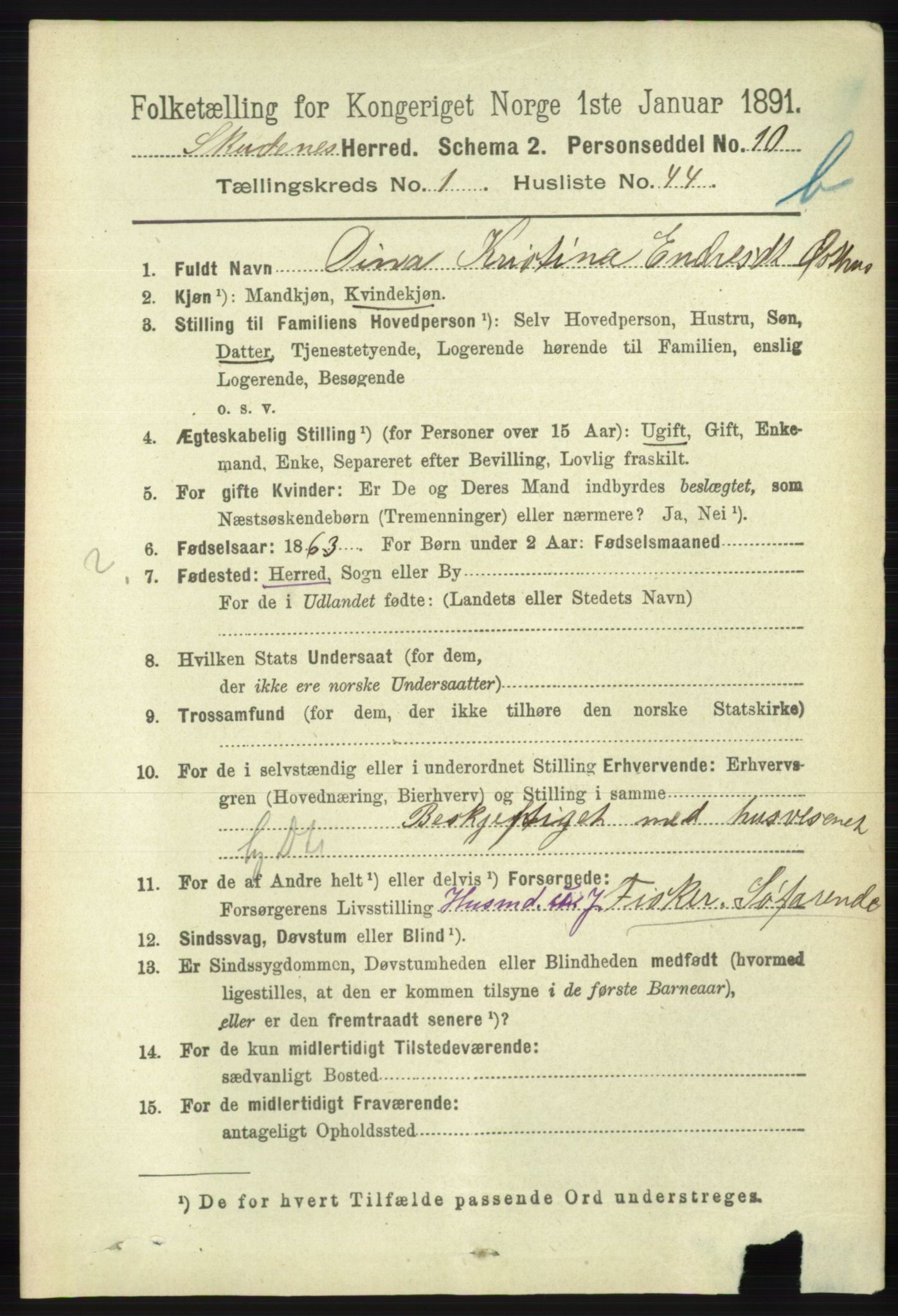 RA, 1891 census for 1150 Skudenes, 1891, p. 3669