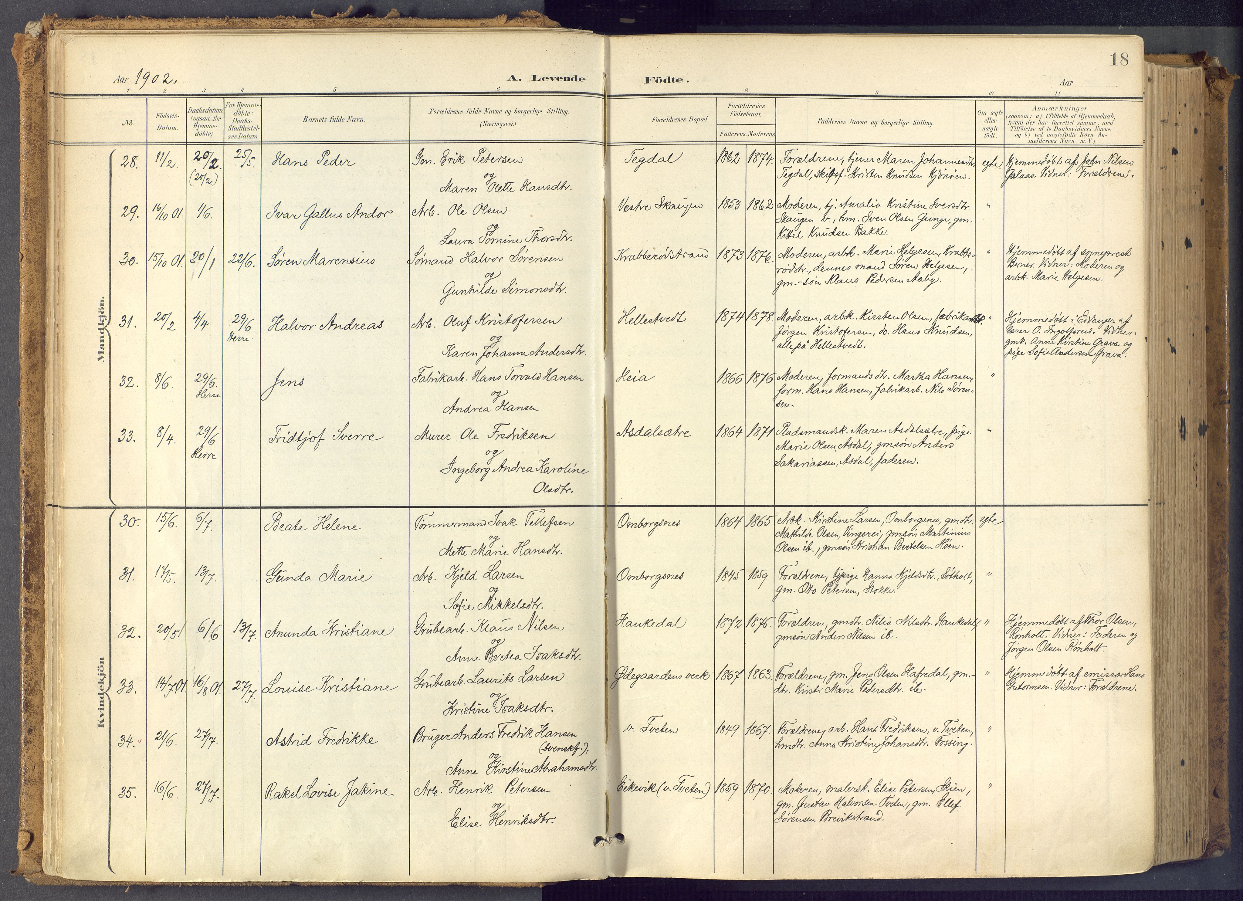 Bamble kirkebøker, SAKO/A-253/F/Fa/L0009: Parish register (official) no. I 9, 1901-1917, p. 18