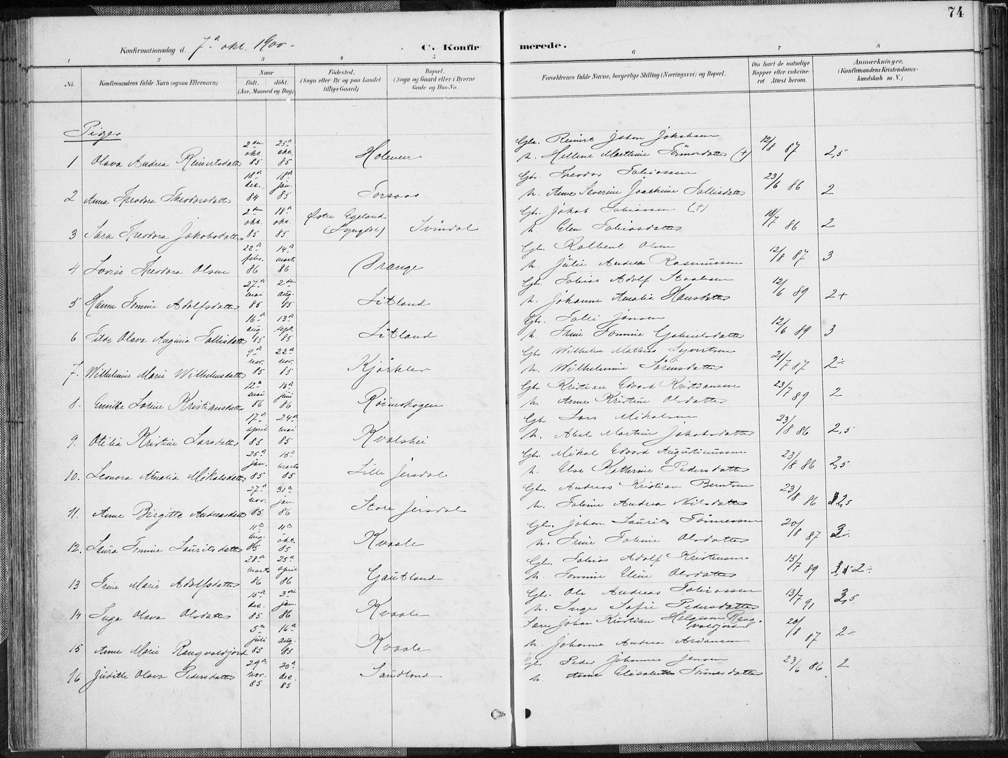 Herad sokneprestkontor, AV/SAK-1111-0018/F/Fa/Faa/L0006: Parish register (official) no. A 6, 1887-1907, p. 74