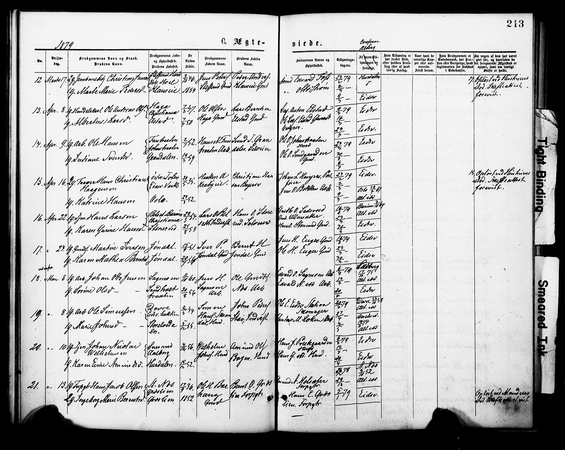 Eidsvoll prestekontor Kirkebøker, AV/SAO-A-10888/F/Fa/L0001: Parish register (official) no. I 1, 1877-1881, p. 213