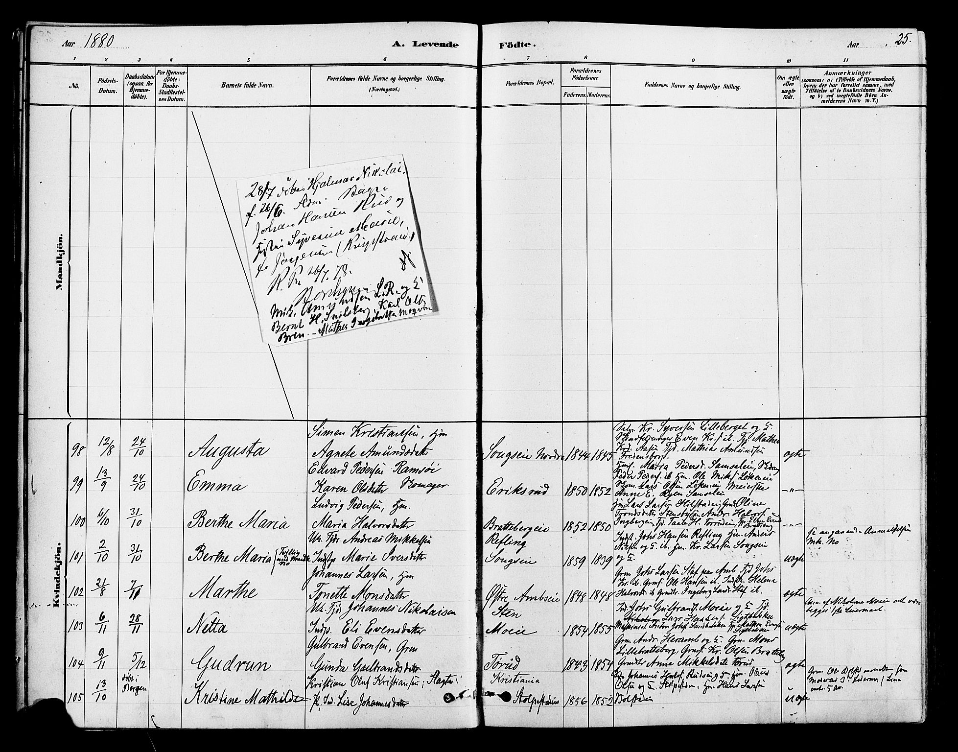 Ringsaker prestekontor, SAH/PREST-014/L/La/L0009: Parish register (copy) no. 9, 1879-1890, p. 25