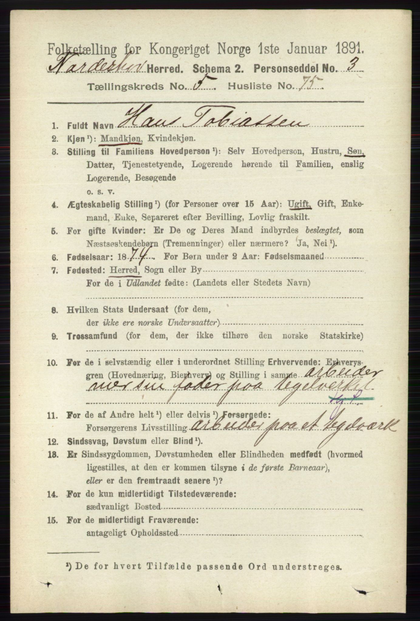 RA, 1891 census for 0613 Norderhov, 1891, p. 3925