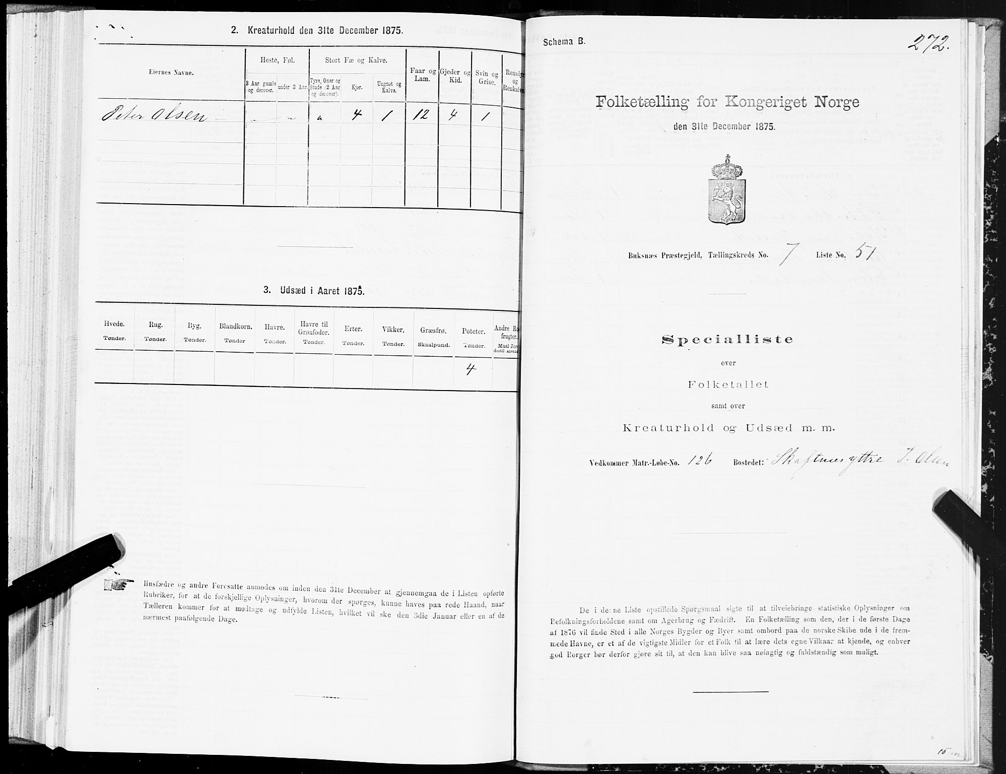 SAT, 1875 census for 1860P Buksnes, 1875, p. 3272