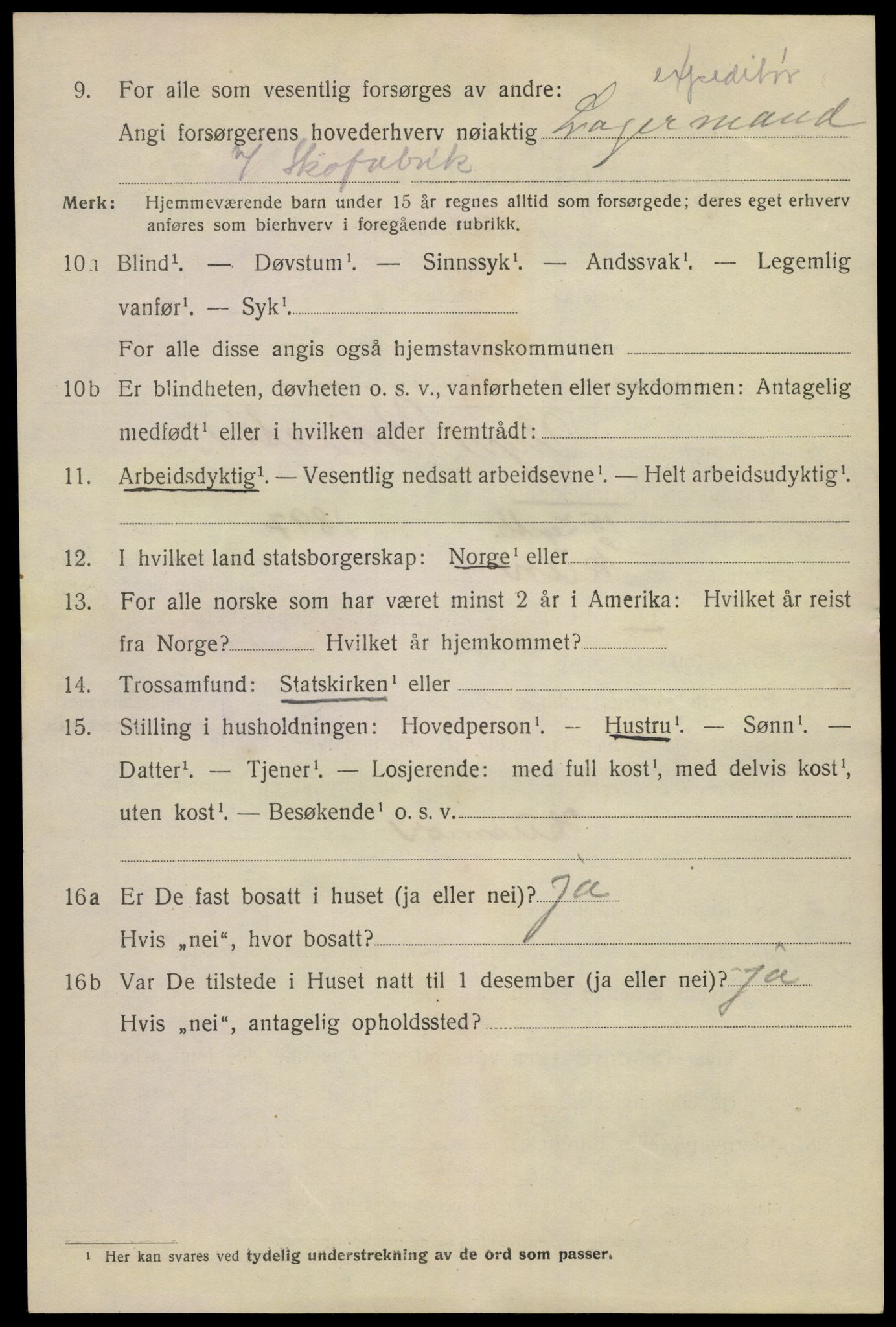 SAKO, 1920 census for Skien, 1920, p. 16817