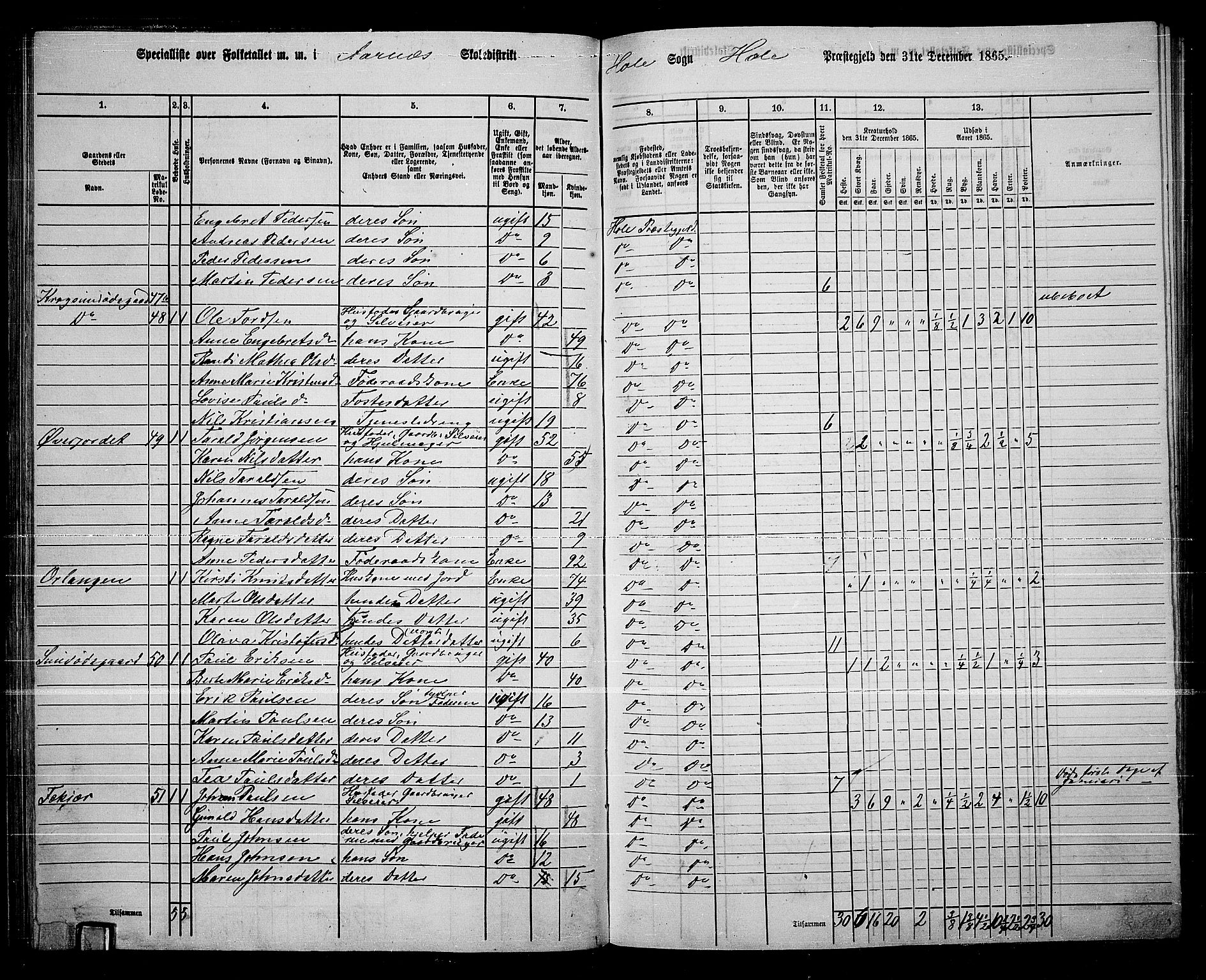 RA, 1865 census for Hole, 1865, p. 43