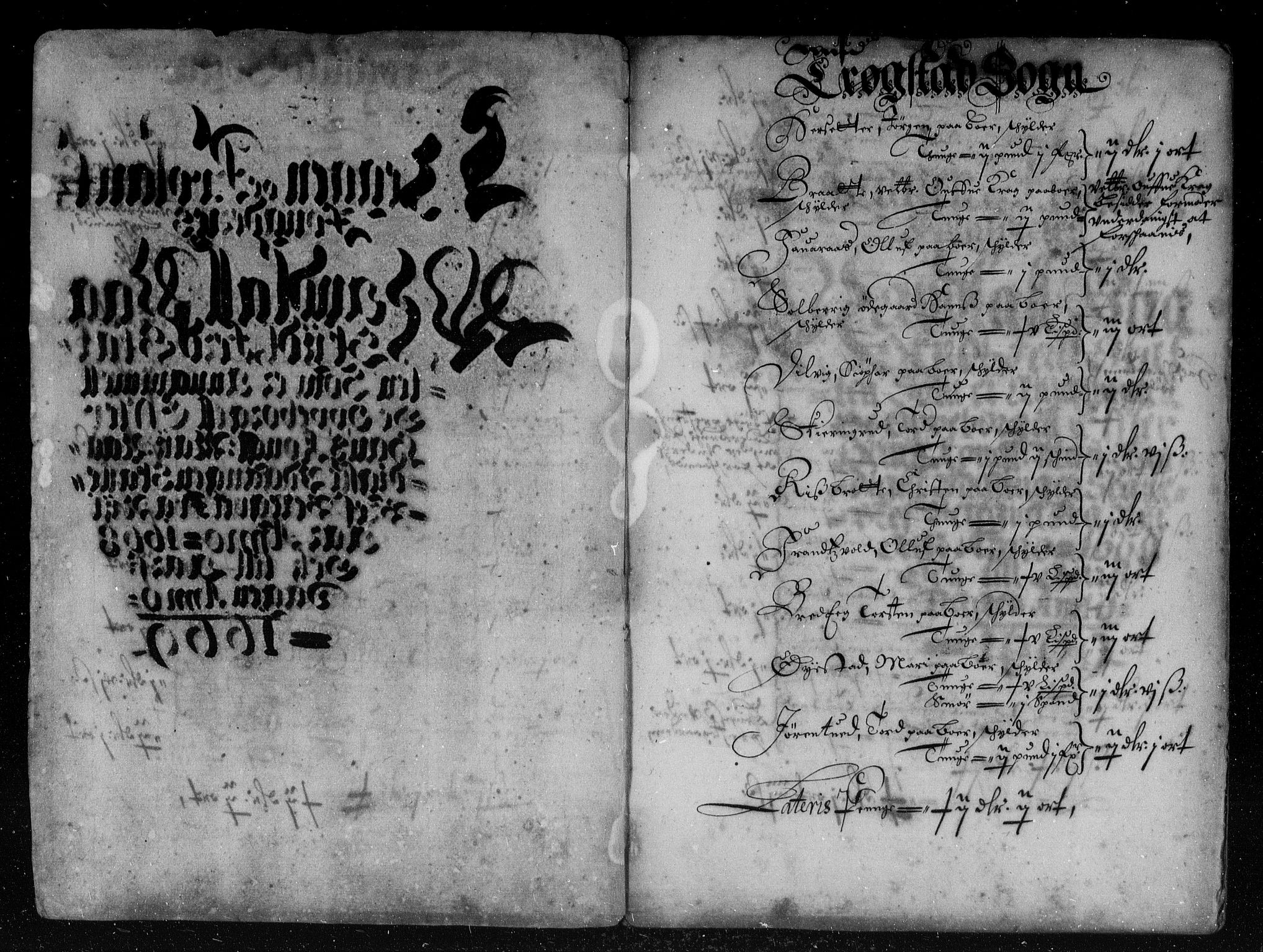 Rentekammeret inntil 1814, Reviderte regnskaper, Stiftamtstueregnskaper, Landkommissariatet på Akershus og Akershus stiftamt, AV/RA-EA-5869/R/Rb/L0050: Akershus stiftamt, 1668