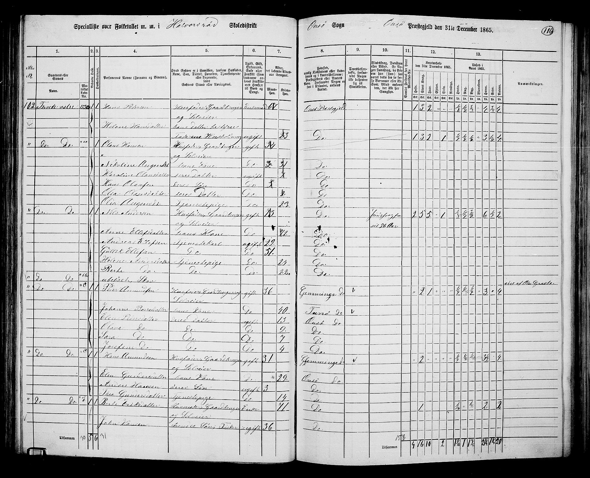 RA, 1865 census for Onsøy, 1865, p. 109