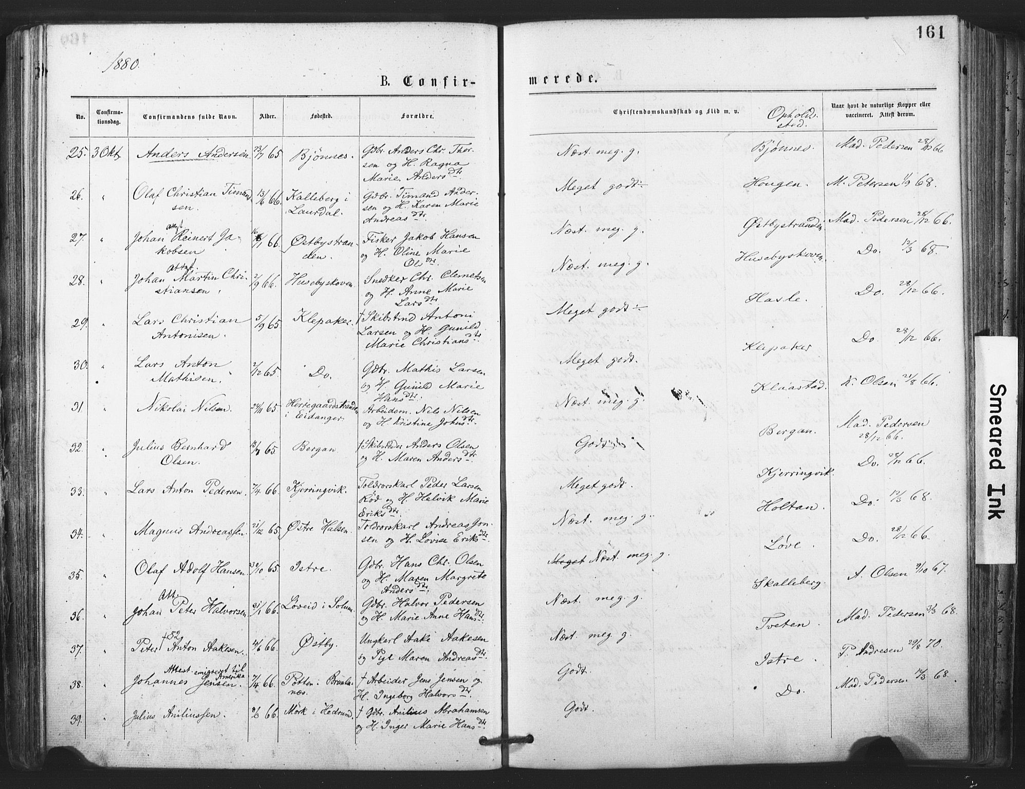 Tjølling kirkebøker, SAKO/A-60/F/Fa/L0008: Parish register (official) no. 8, 1877-1886, p. 161