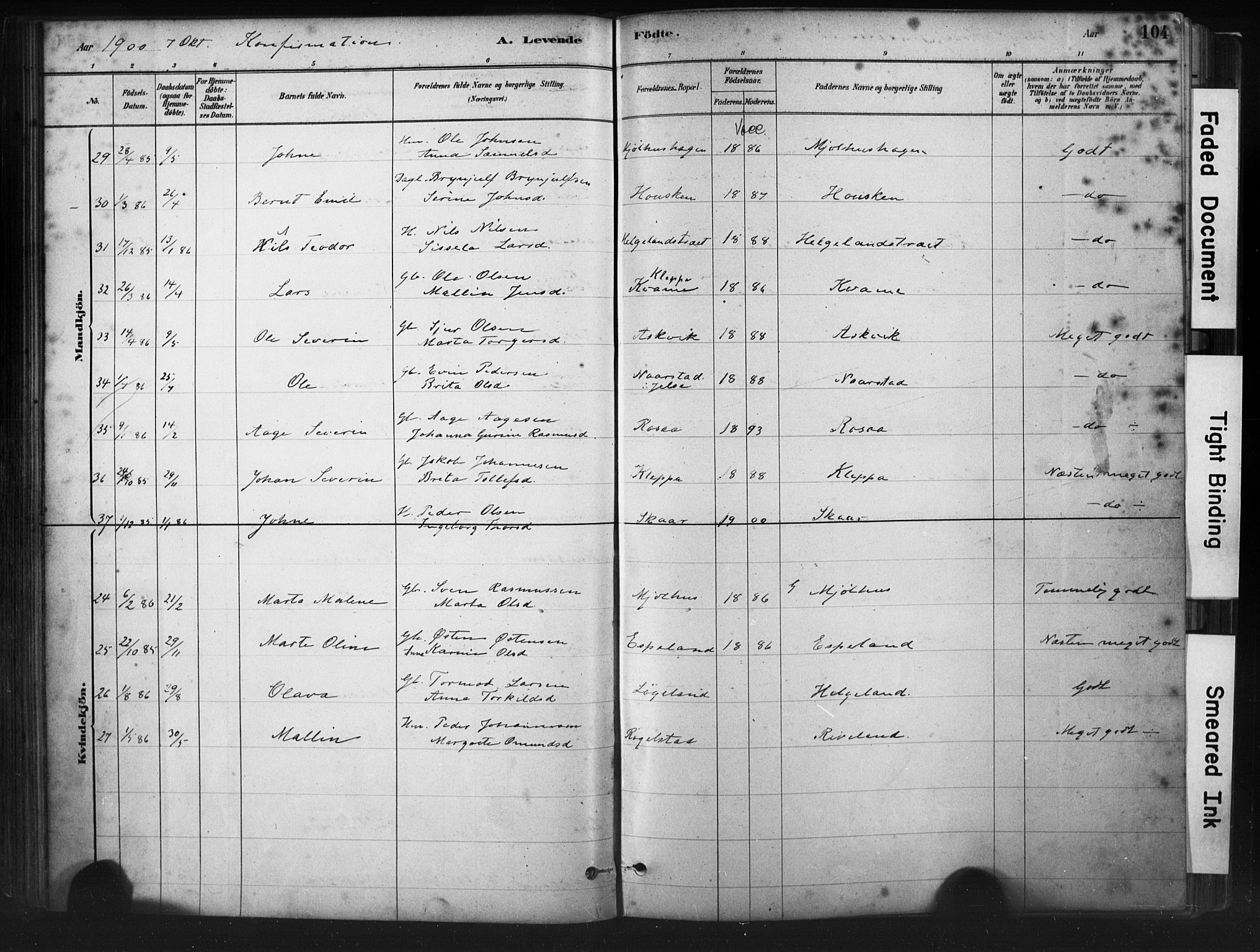 Hjelmeland sokneprestkontor, AV/SAST-A-101843/01/IV/L0014: Parish register (official) no. A 14, 1879-1900, p. 104