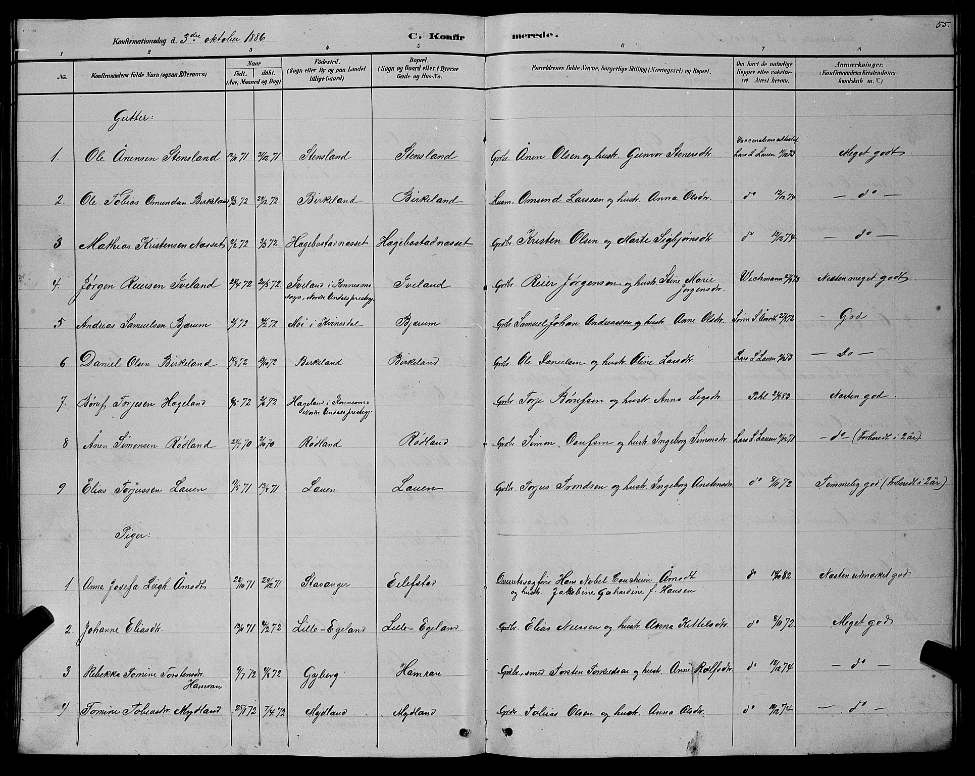 Hægebostad sokneprestkontor, AV/SAK-1111-0024/F/Fb/Fba/L0003: Parish register (copy) no. B 3, 1883-1896, p. 55