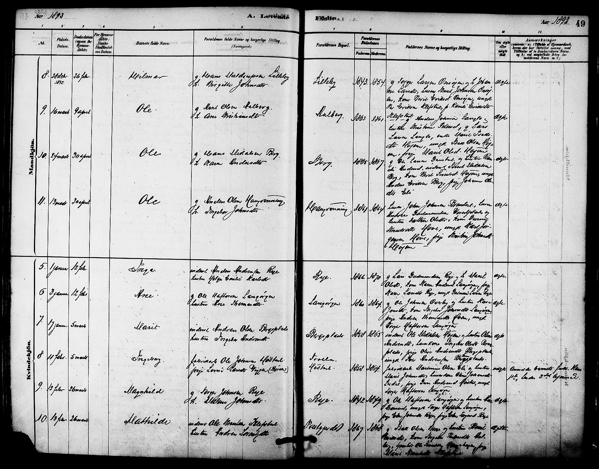 Ministerialprotokoller, klokkerbøker og fødselsregistre - Sør-Trøndelag, AV/SAT-A-1456/612/L0378: Parish register (official) no. 612A10, 1878-1897, p. 49