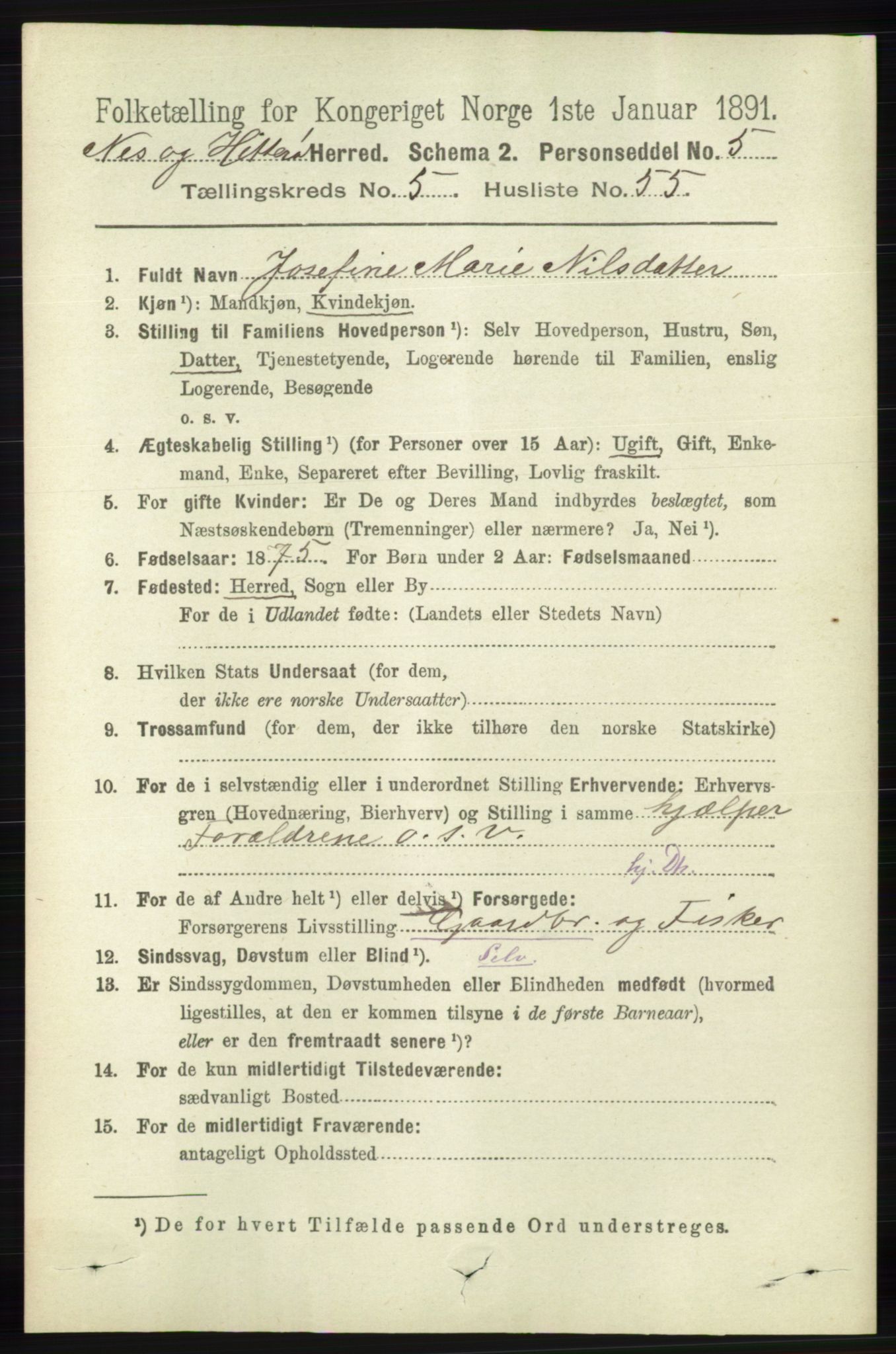 RA, 1891 census for 1043 Hidra og Nes, 1891, p. 2138