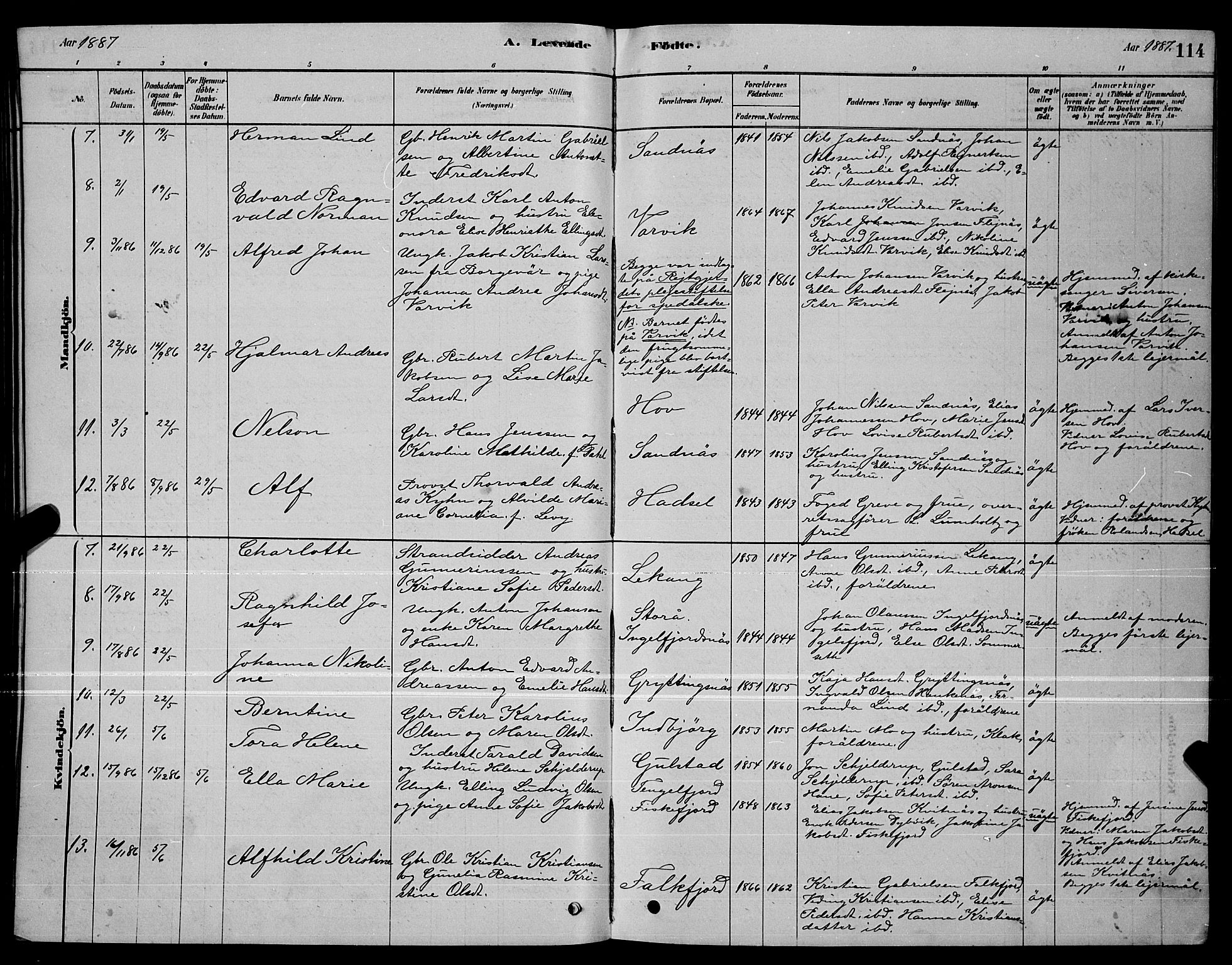 Ministerialprotokoller, klokkerbøker og fødselsregistre - Nordland, AV/SAT-A-1459/888/L1267: Parish register (copy) no. 888C05, 1878-1890, p. 114