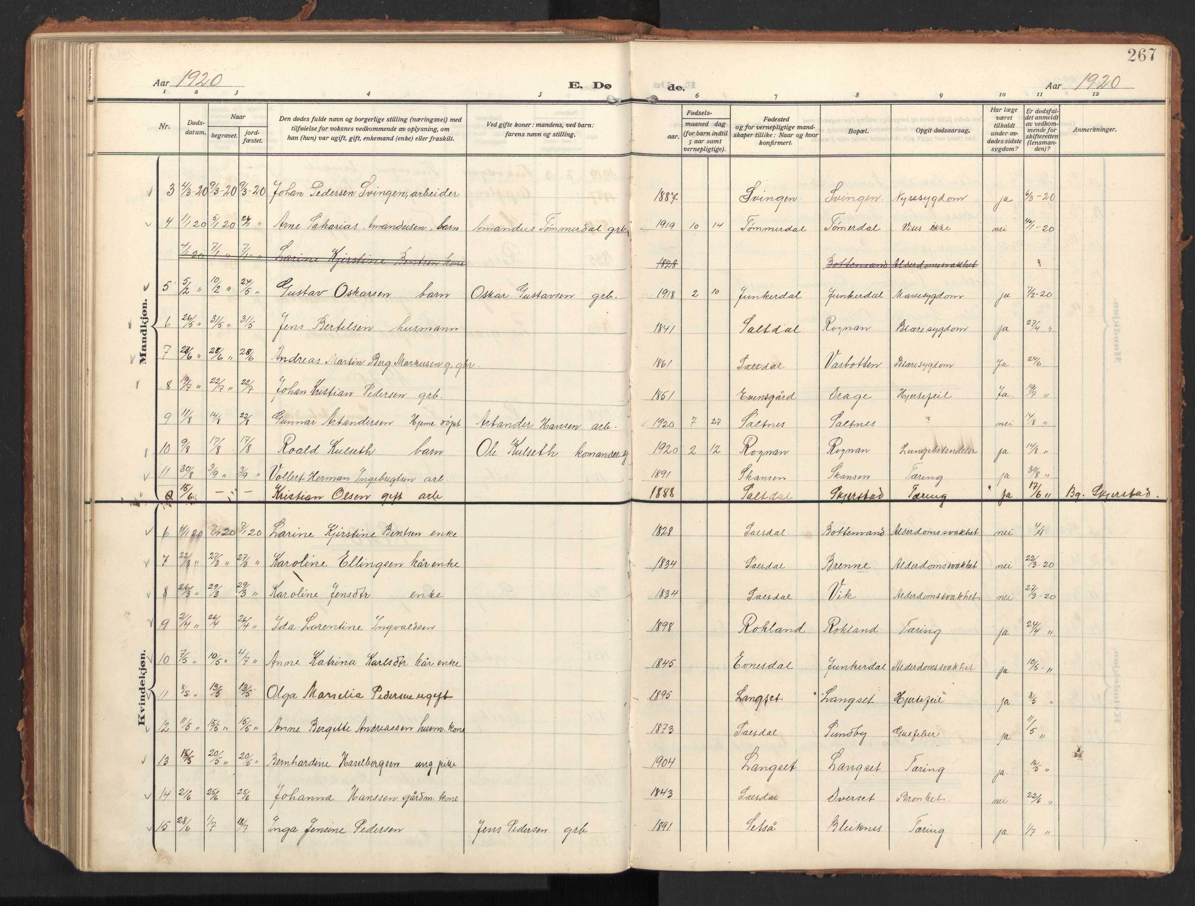 Ministerialprotokoller, klokkerbøker og fødselsregistre - Nordland, AV/SAT-A-1459/847/L0683: Parish register (copy) no. 847C11, 1908-1929, p. 267