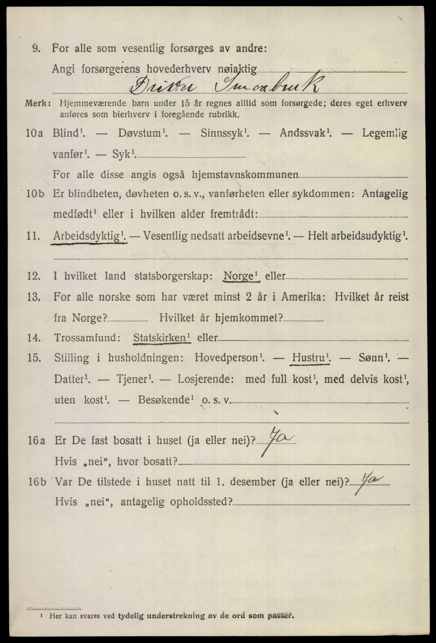 SAKO, 1920 census for Hemsedal, 1920, p. 1457