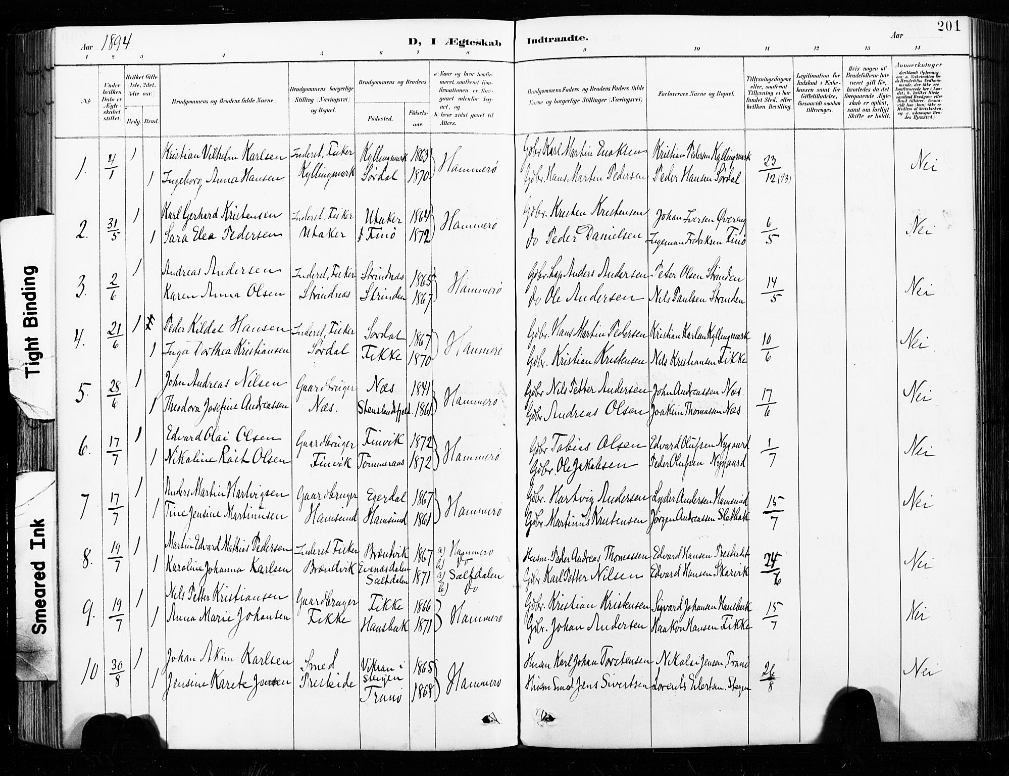 Ministerialprotokoller, klokkerbøker og fødselsregistre - Nordland, SAT/A-1459/859/L0847: Parish register (official) no. 859A07, 1890-1899, p. 201