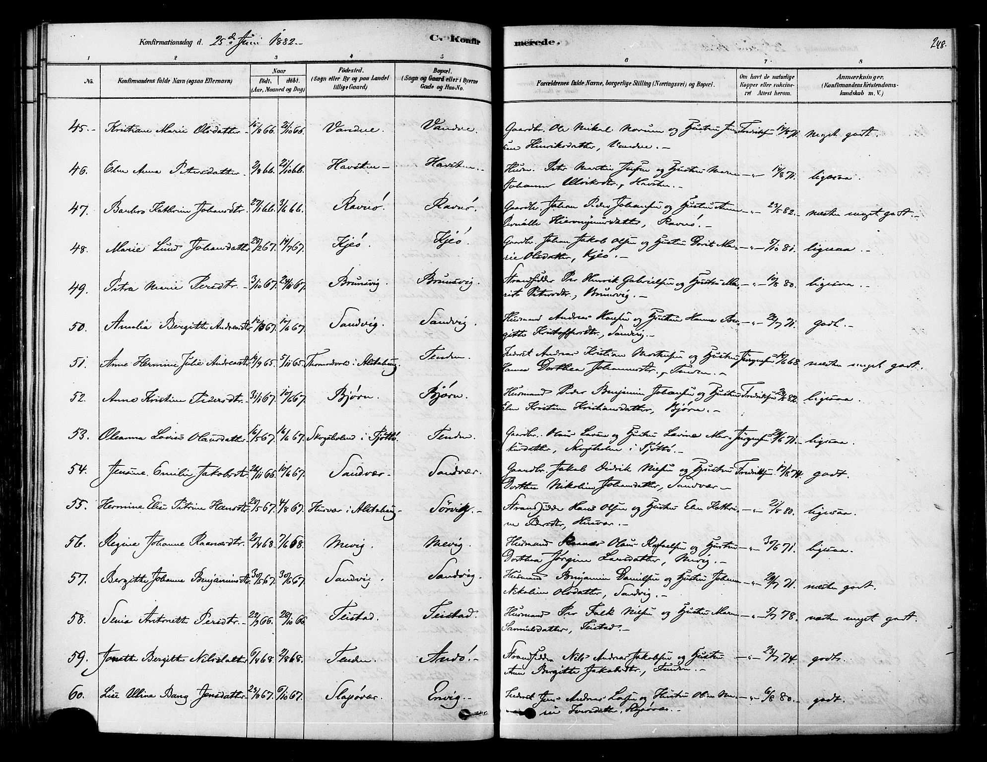 Ministerialprotokoller, klokkerbøker og fødselsregistre - Nordland, AV/SAT-A-1459/834/L0507: Parish register (official) no. 834A05, 1878-1892, p. 248