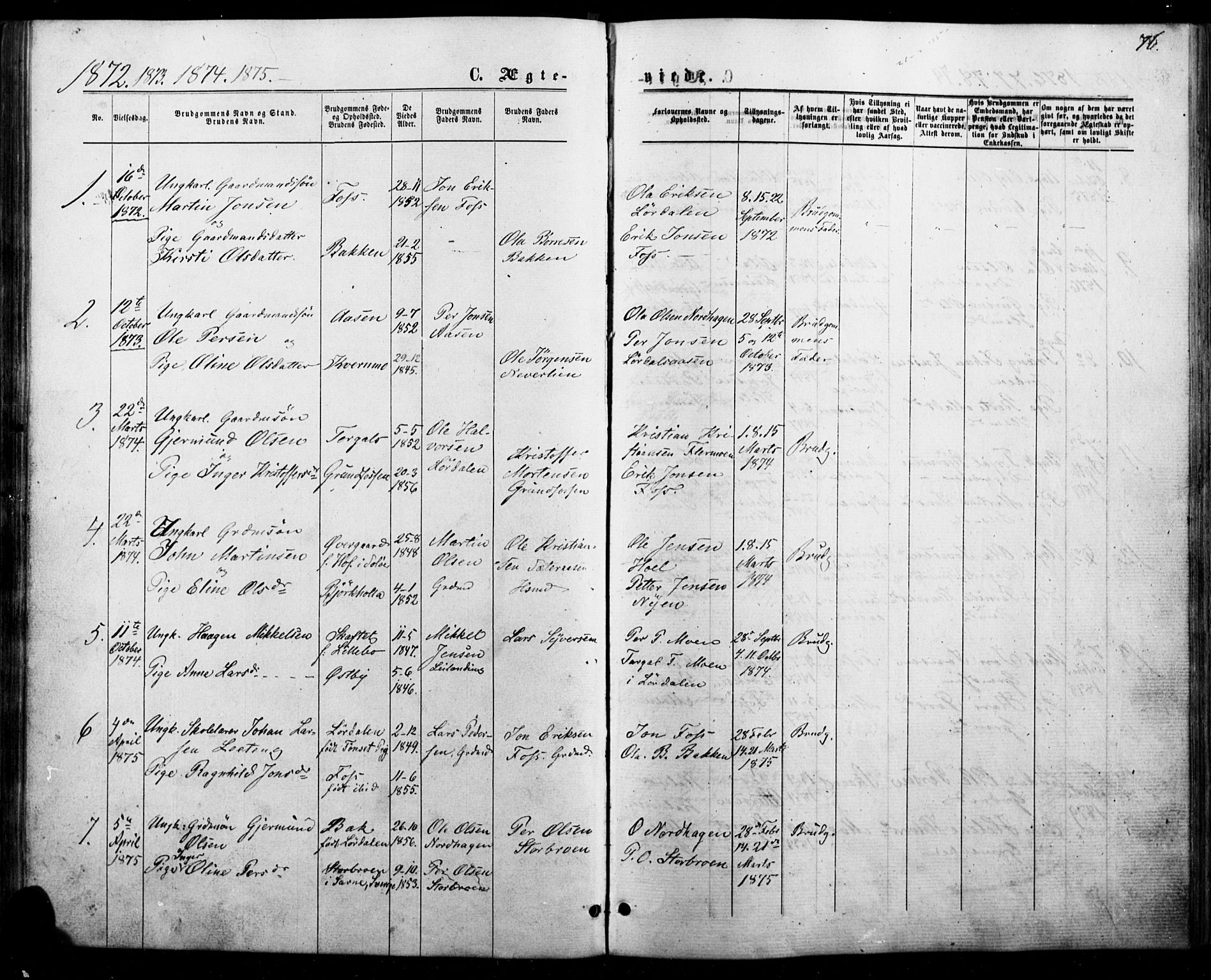 Trysil prestekontor, SAH/PREST-046/H/Ha/Haa/L0010: Parish register (official) no. 10, 1872-1895, p. 76