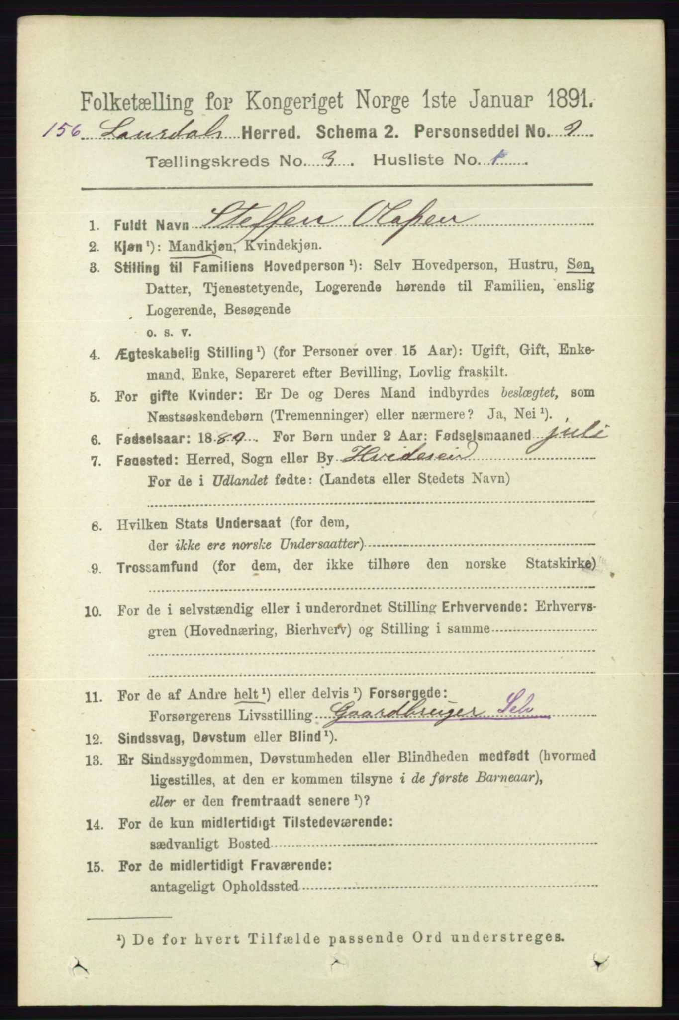 RA, 1891 census for 0833 Lårdal, 1891, p. 806