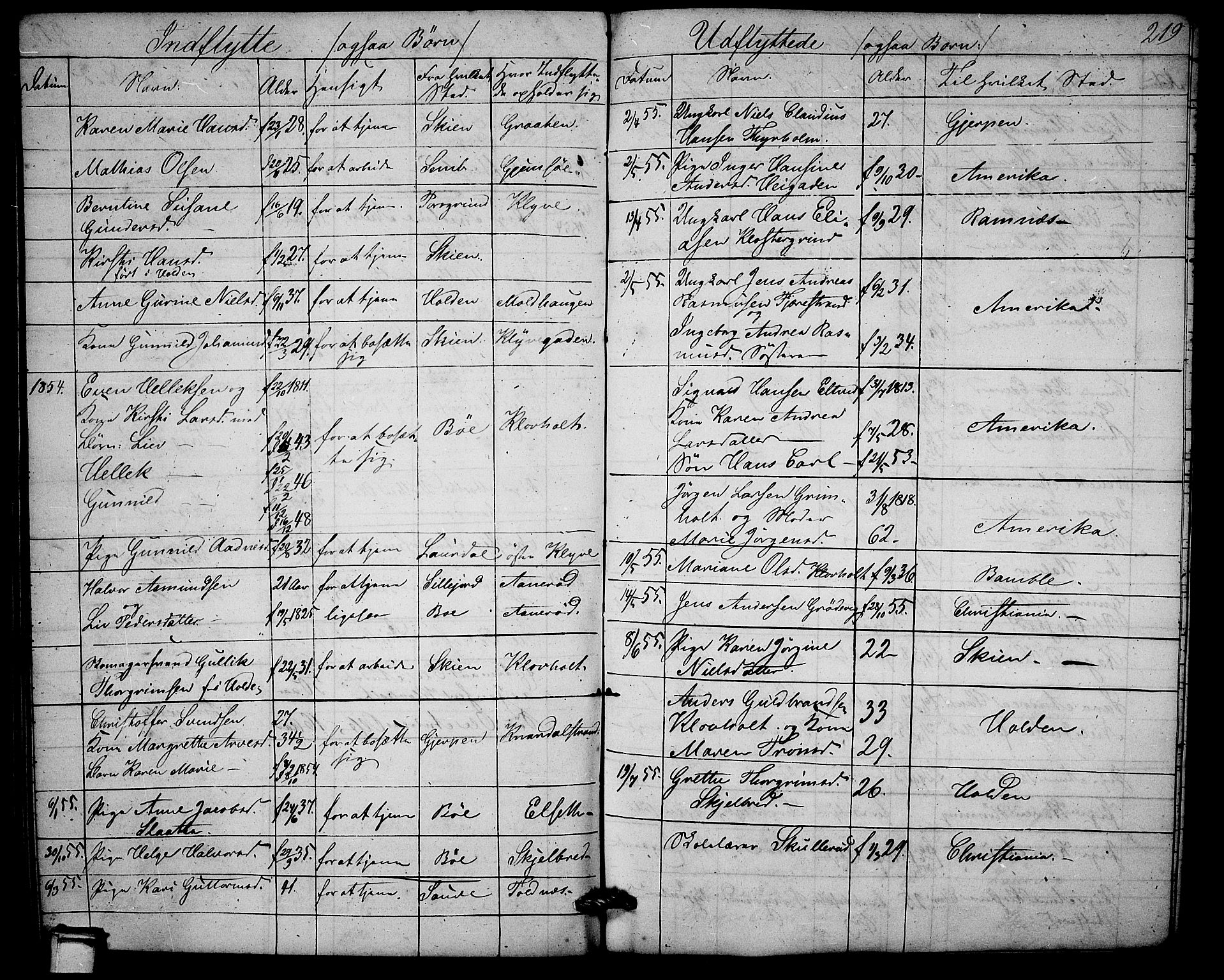 Solum kirkebøker, AV/SAKO-A-306/G/Ga/L0003: Parish register (copy) no. I 3, 1848-1859, p. 219