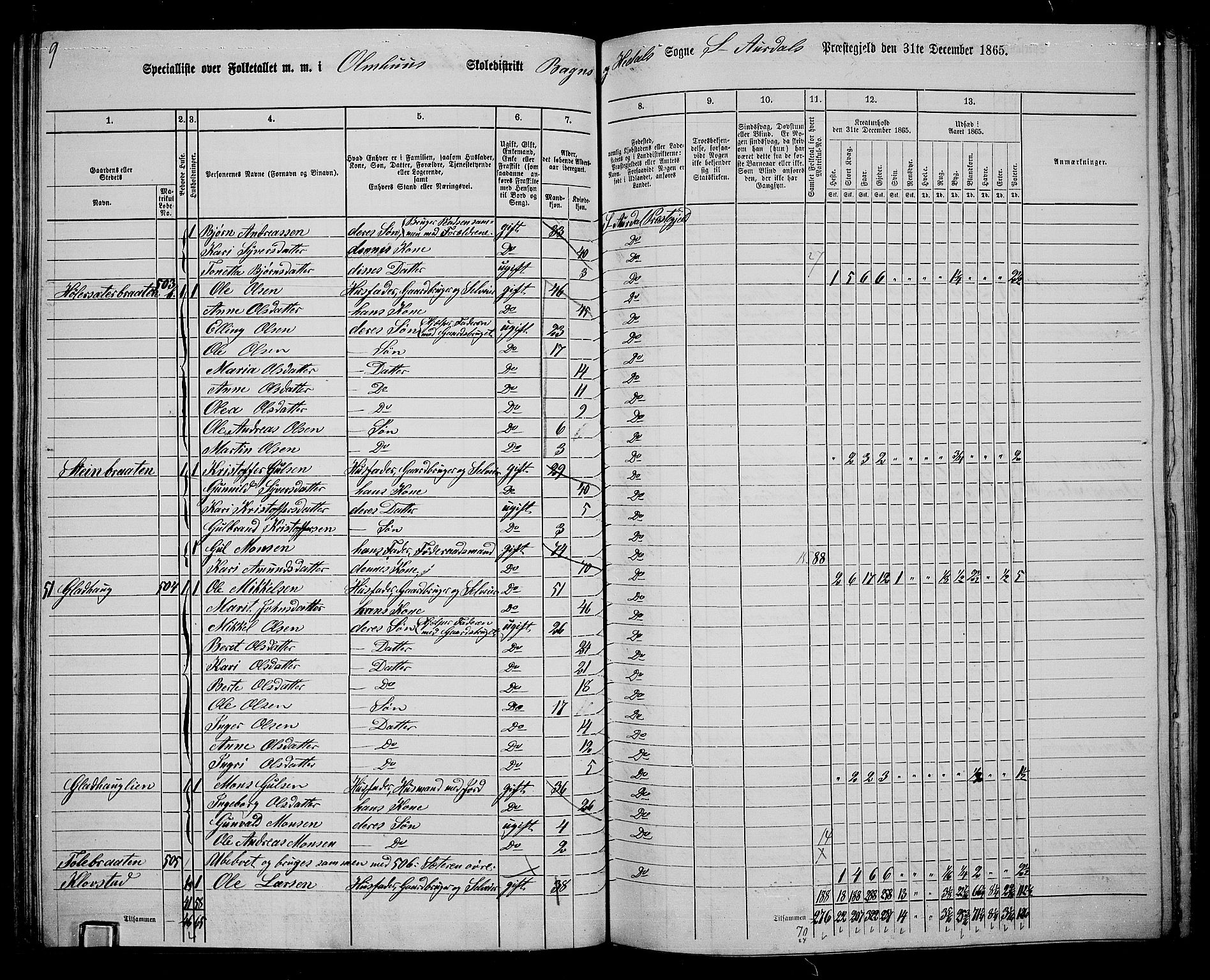 RA, 1865 census for Sør-Aurdal, 1865, p. 107