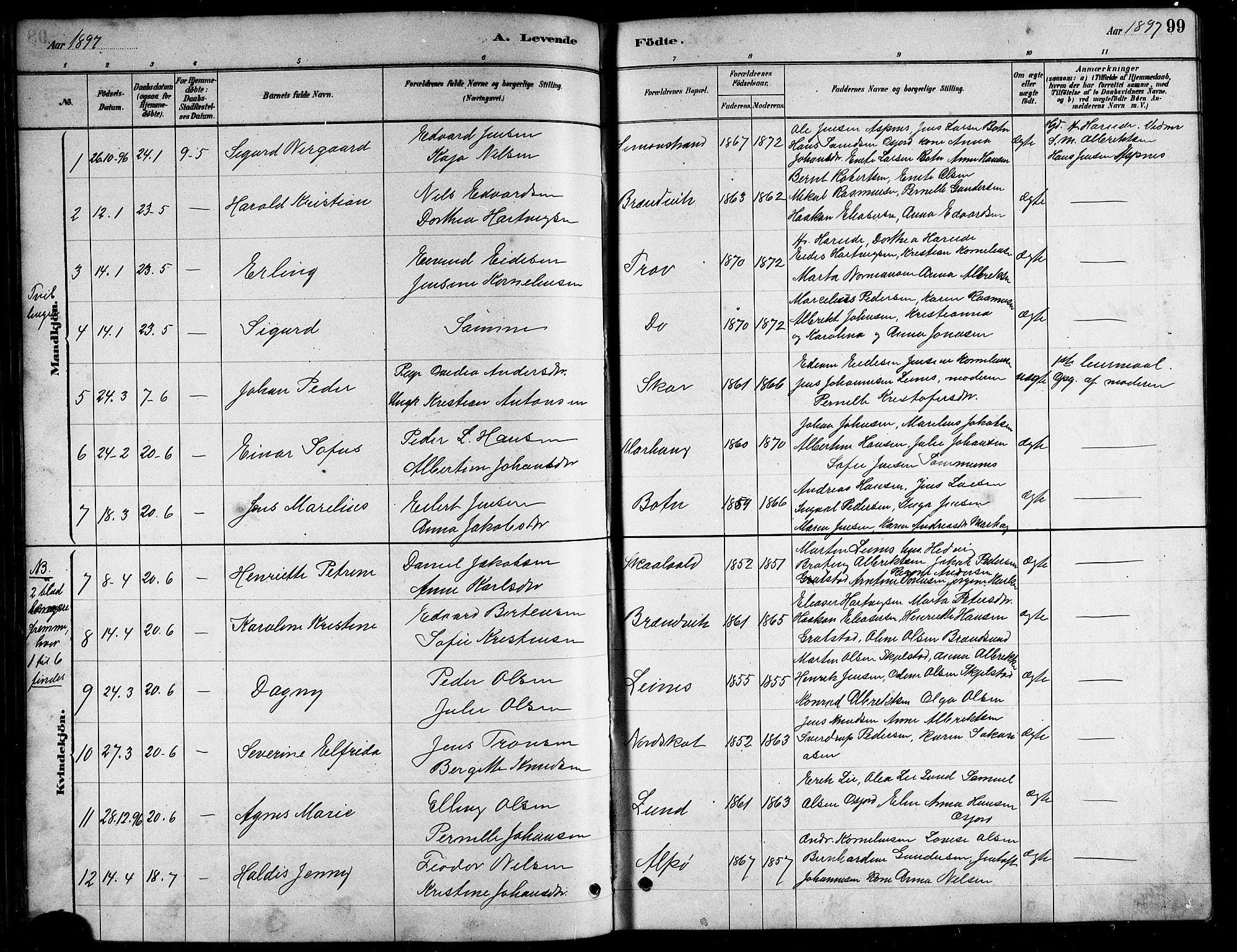 Ministerialprotokoller, klokkerbøker og fødselsregistre - Nordland, AV/SAT-A-1459/857/L0828: Parish register (copy) no. 857C03, 1879-1908, p. 99