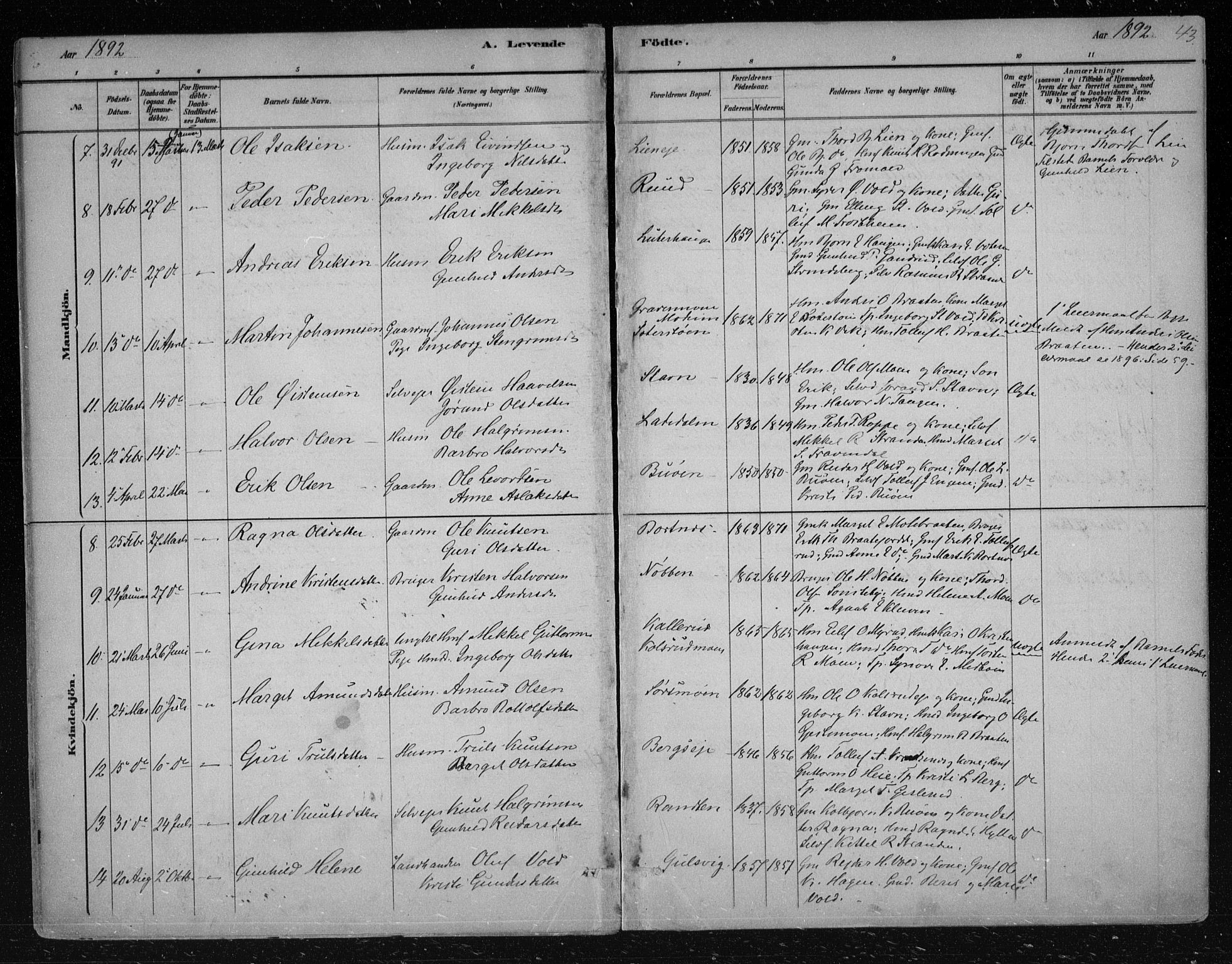 Nes kirkebøker, AV/SAKO-A-236/F/Fa/L0012: Parish register (official) no. 12, 1881-1917, p. 43