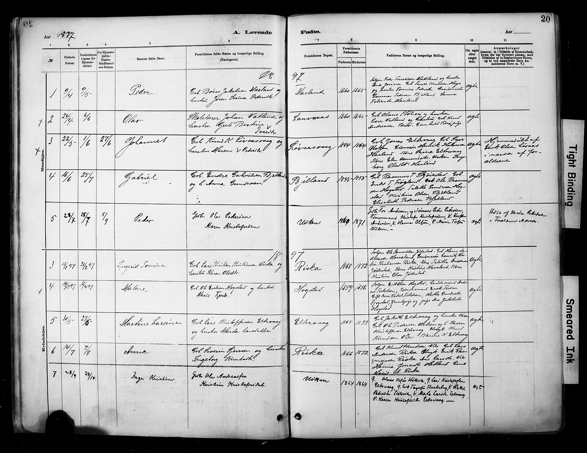 Hetland sokneprestkontor, SAST/A-101826/30/30BA/L0010: Parish register (official) no. A 10, 1882-1925, p. 20