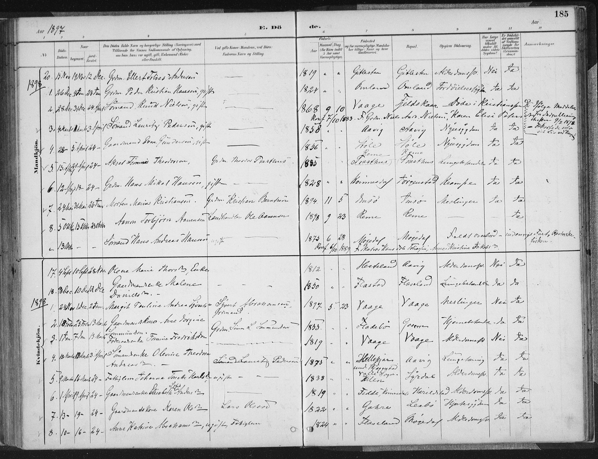 Sør-Audnedal sokneprestkontor, AV/SAK-1111-0039/F/Fa/Faa/L0004: Parish register (official) no. A 4, 1884-1909, p. 185