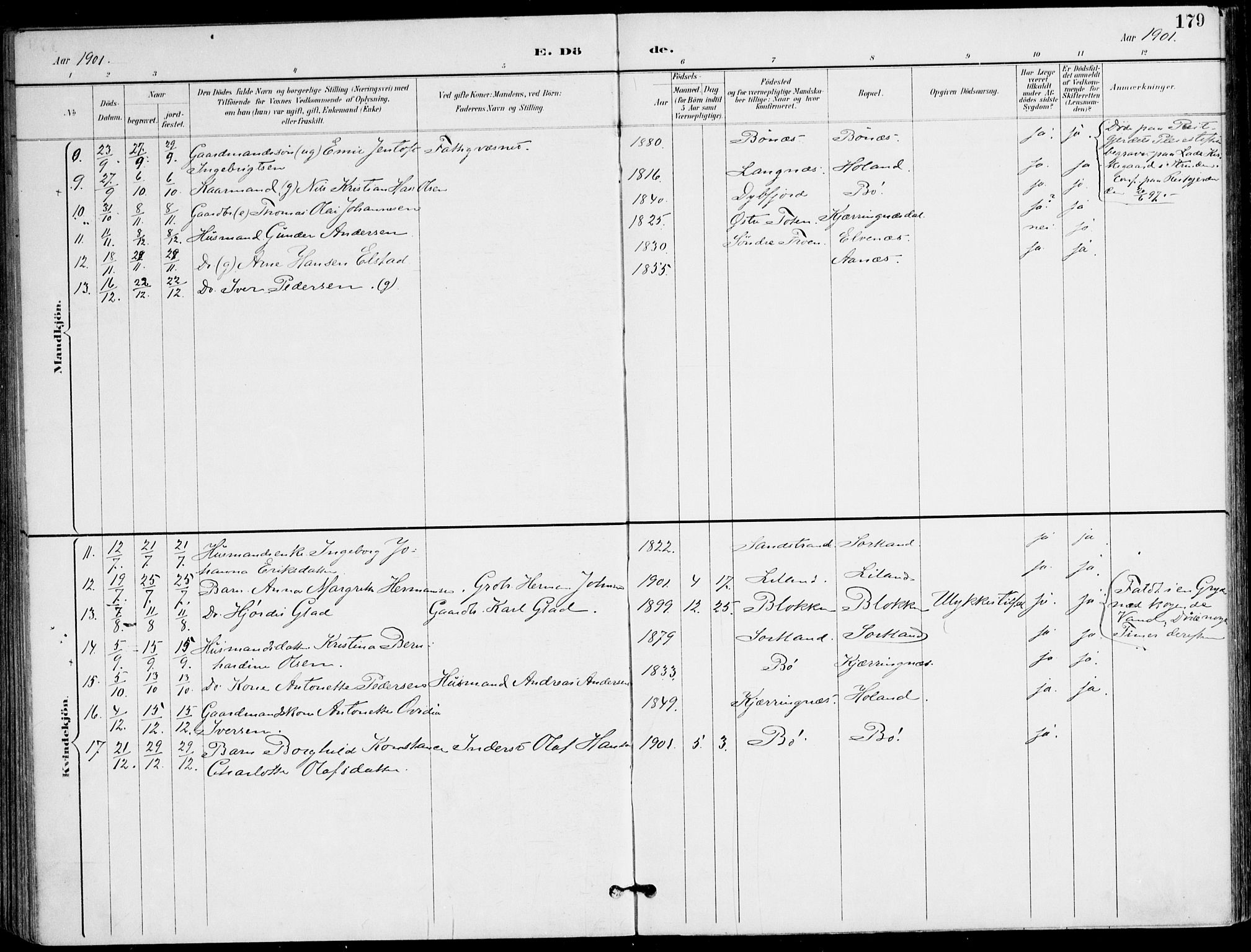 Ministerialprotokoller, klokkerbøker og fødselsregistre - Nordland, AV/SAT-A-1459/895/L1372: Parish register (official) no. 895A07, 1894-1914, p. 179