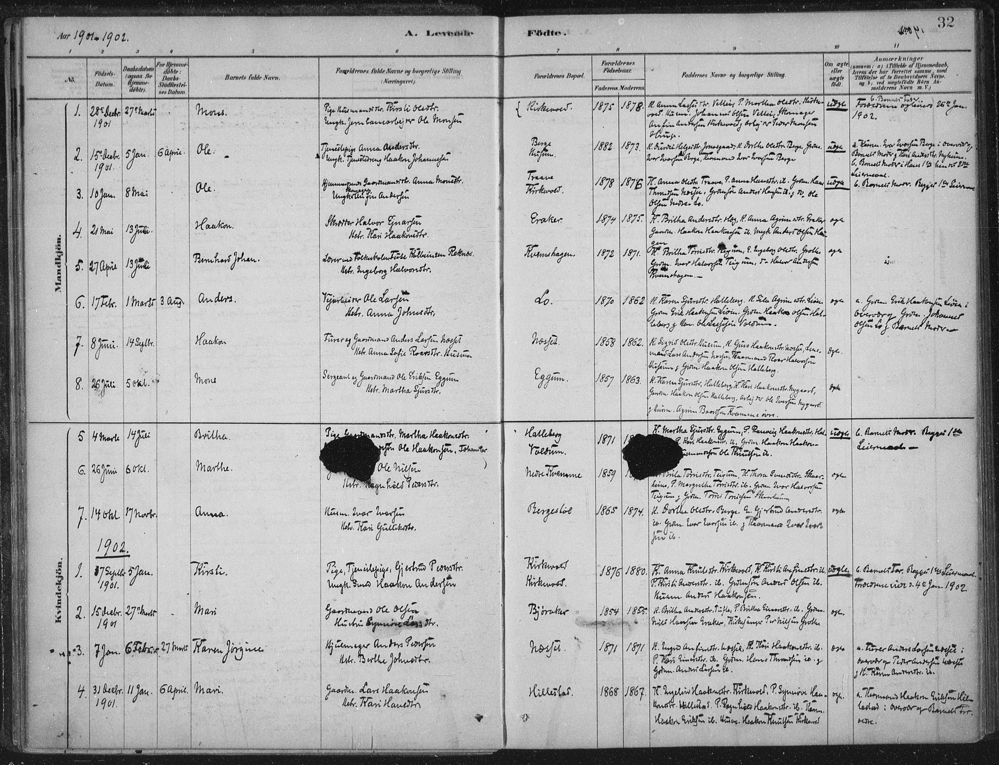 Lærdal sokneprestembete, AV/SAB-A-81201: Parish register (official) no. C  1, 1878-1911, p. 32