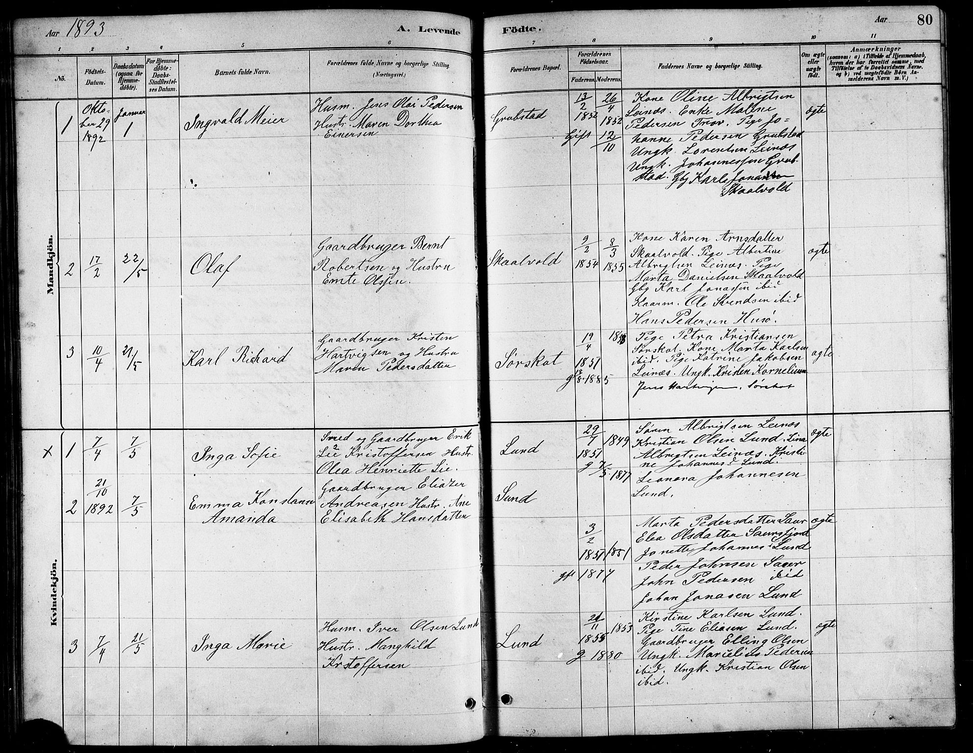 Ministerialprotokoller, klokkerbøker og fødselsregistre - Nordland, AV/SAT-A-1459/857/L0828: Parish register (copy) no. 857C03, 1879-1908, p. 80