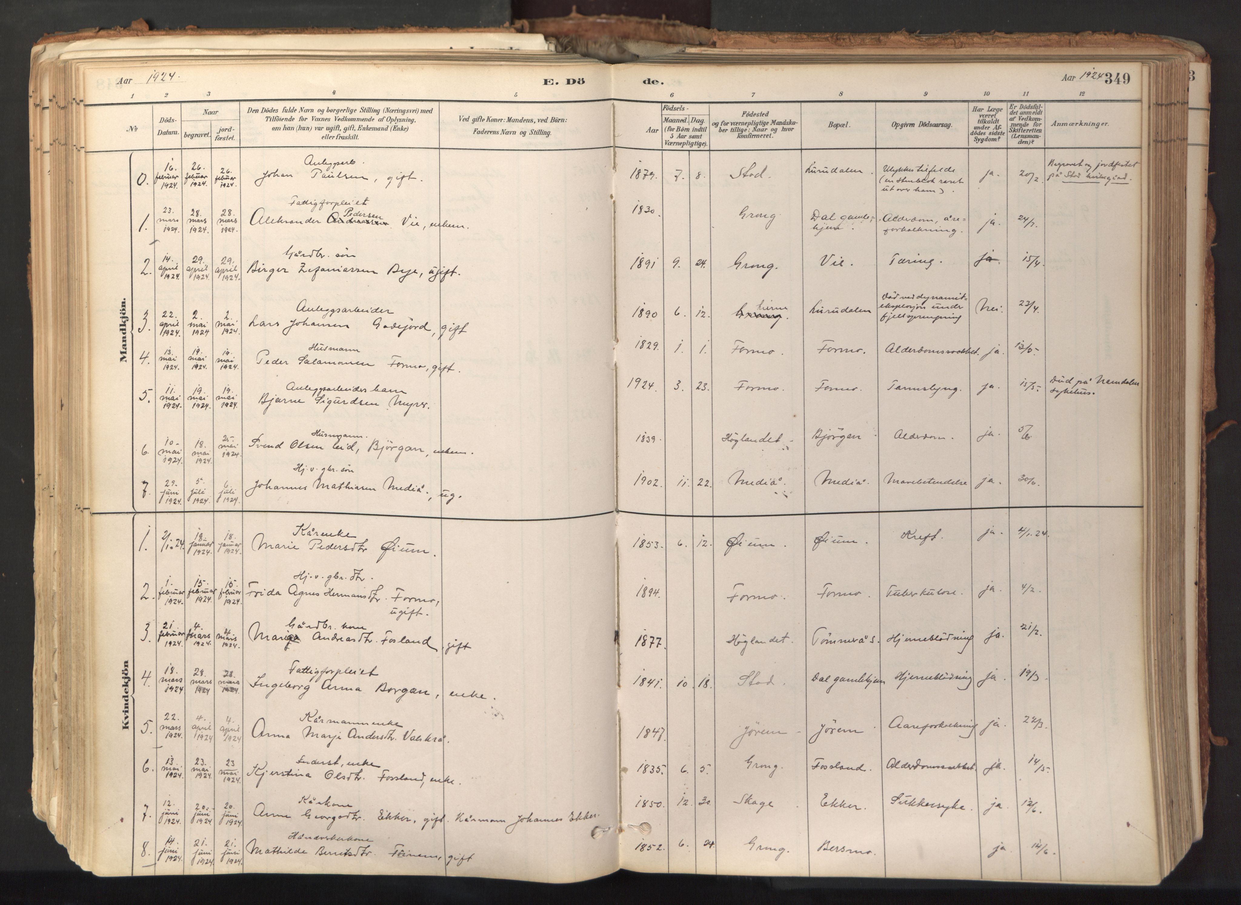 Ministerialprotokoller, klokkerbøker og fødselsregistre - Nord-Trøndelag, SAT/A-1458/758/L0519: Parish register (official) no. 758A04, 1880-1926, p. 349
