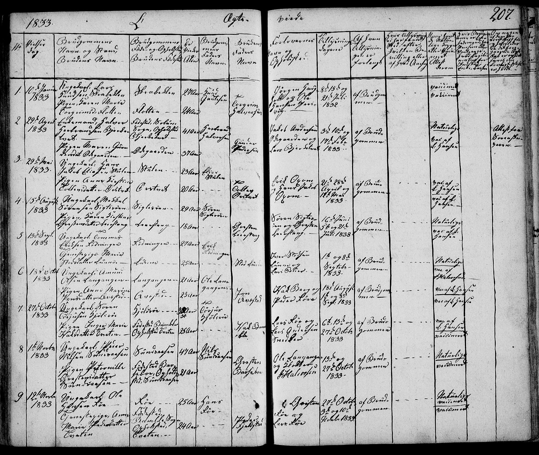 Eidanger kirkebøker, AV/SAKO-A-261/F/Fa/L0008: Parish register (official) no. 8, 1831-1858, p. 207