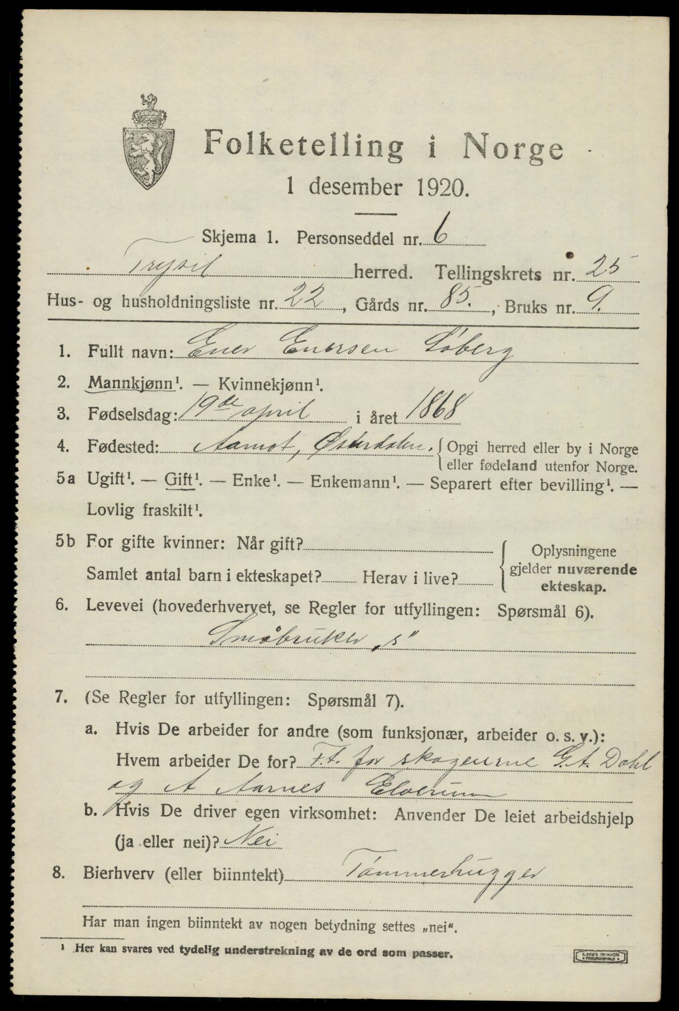 SAH, 1920 census for Trysil, 1920, p. 15961