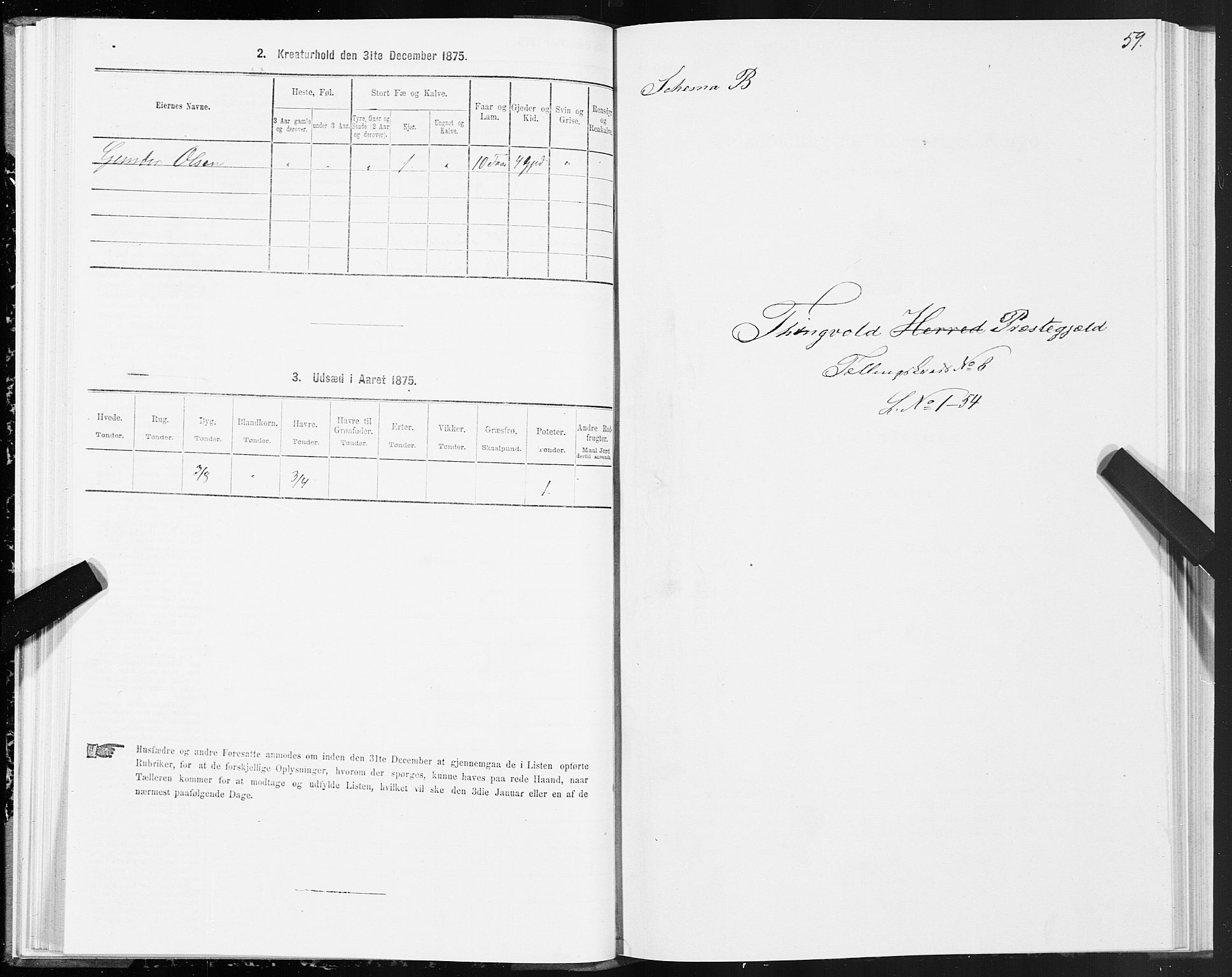 SAT, 1875 census for 1560P Tingvoll, 1875, p. 3059