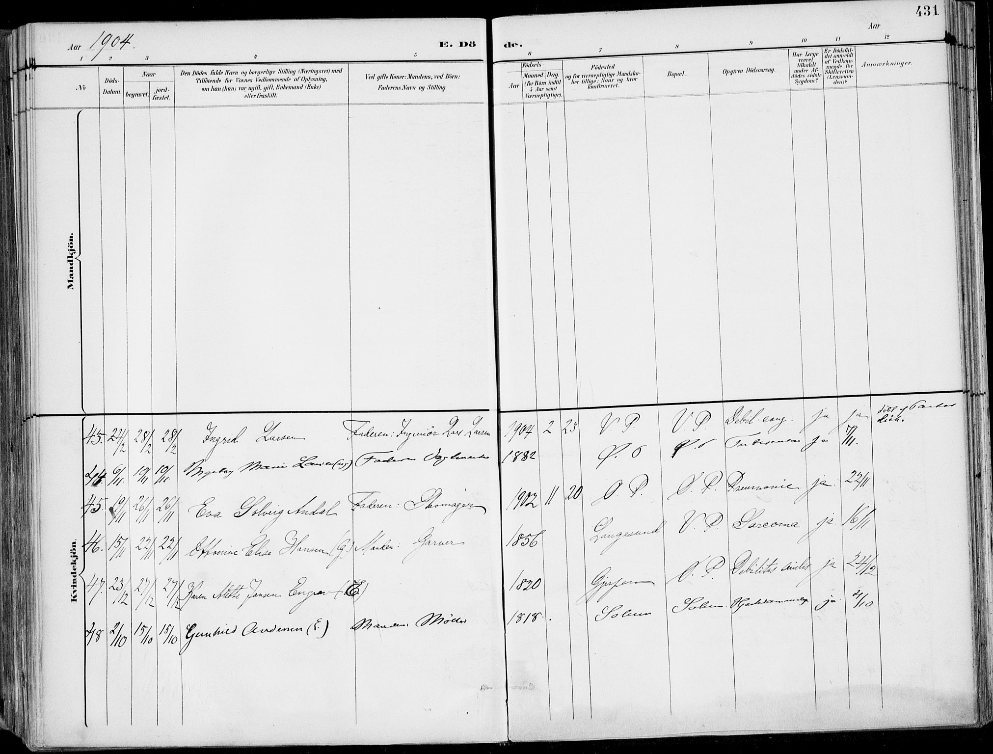 Porsgrunn kirkebøker , SAKO/A-104/F/Fa/L0011: Parish register (official) no. 11, 1895-1919, p. 431