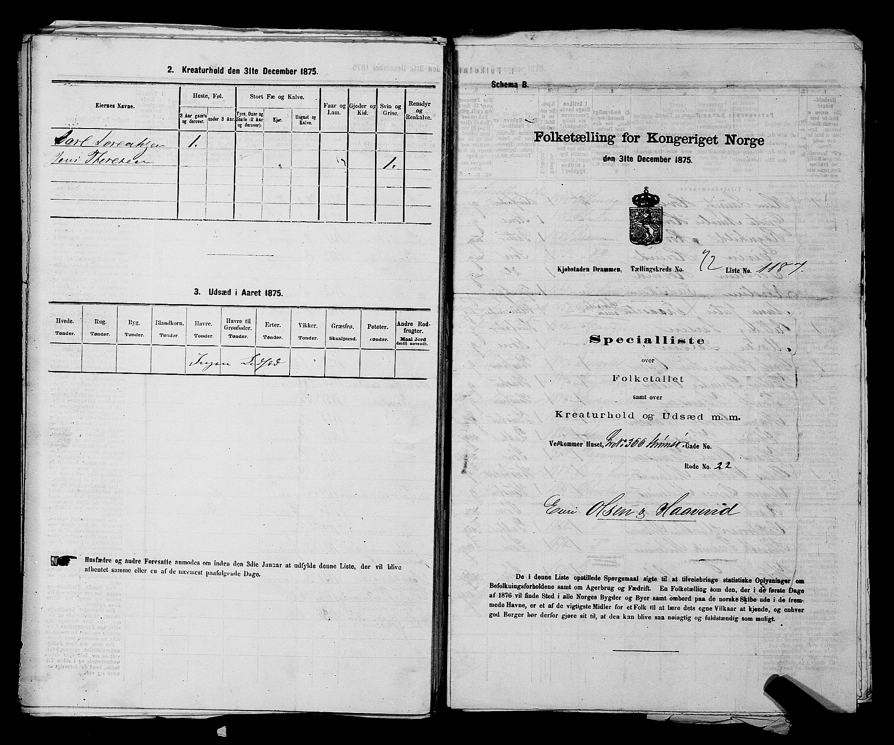 SAKO, 1875 census for 0602 Drammen, 1875, p. 2237