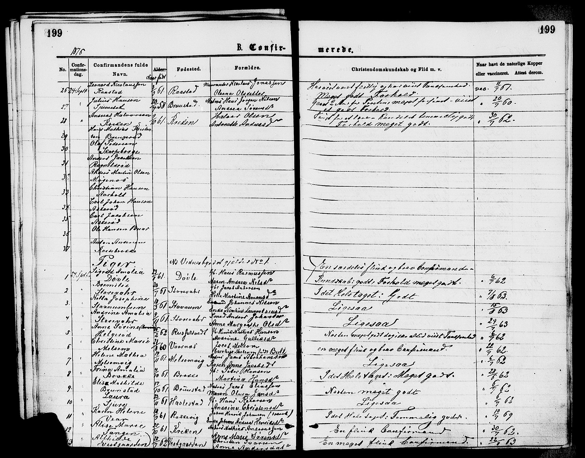 Stokke kirkebøker, AV/SAKO-A-320/F/Fa/L0009: Parish register (official) no. I 9, 1872-1883, p. 199