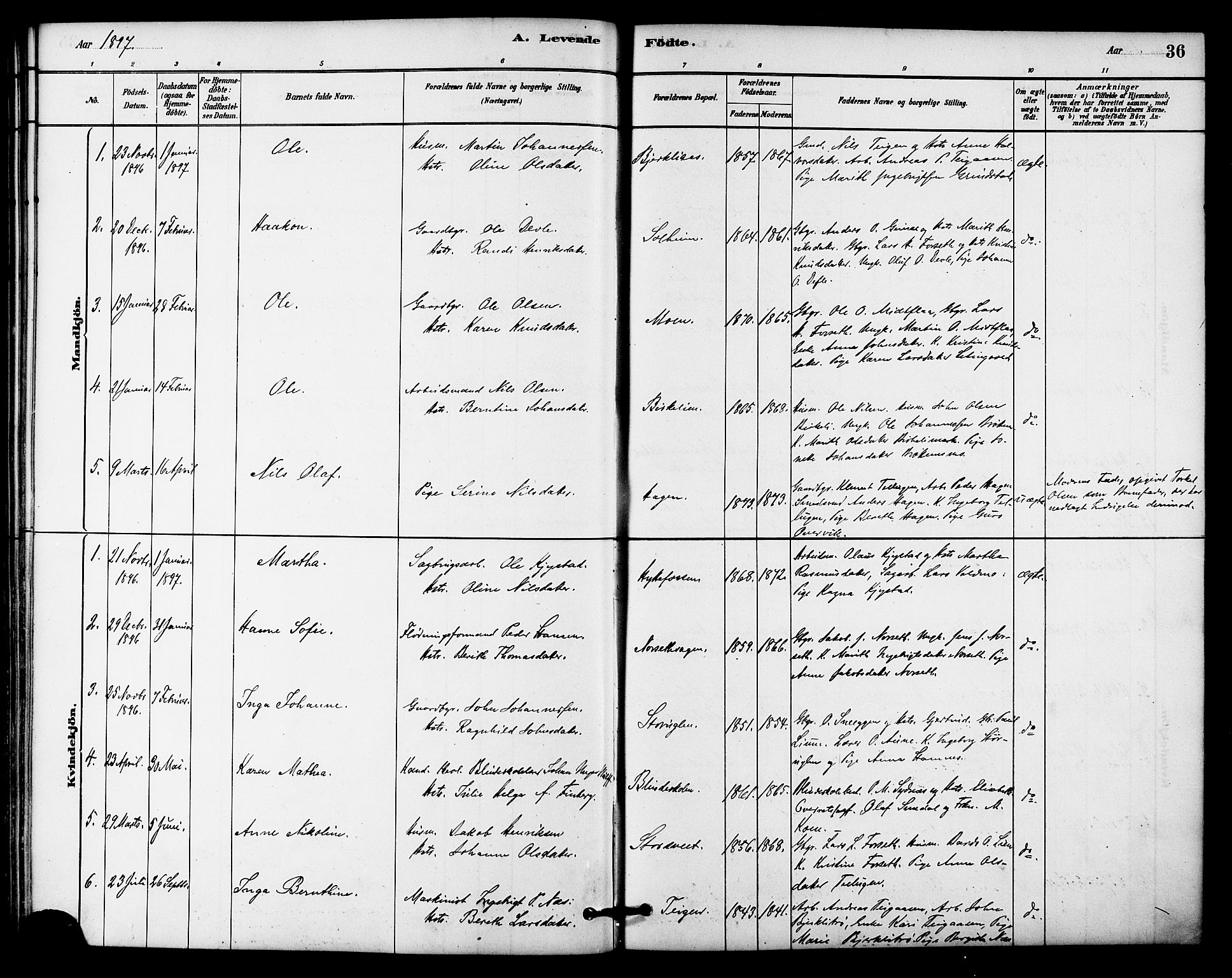 Ministerialprotokoller, klokkerbøker og fødselsregistre - Sør-Trøndelag, SAT/A-1456/618/L0444: Parish register (official) no. 618A07, 1880-1898, p. 36