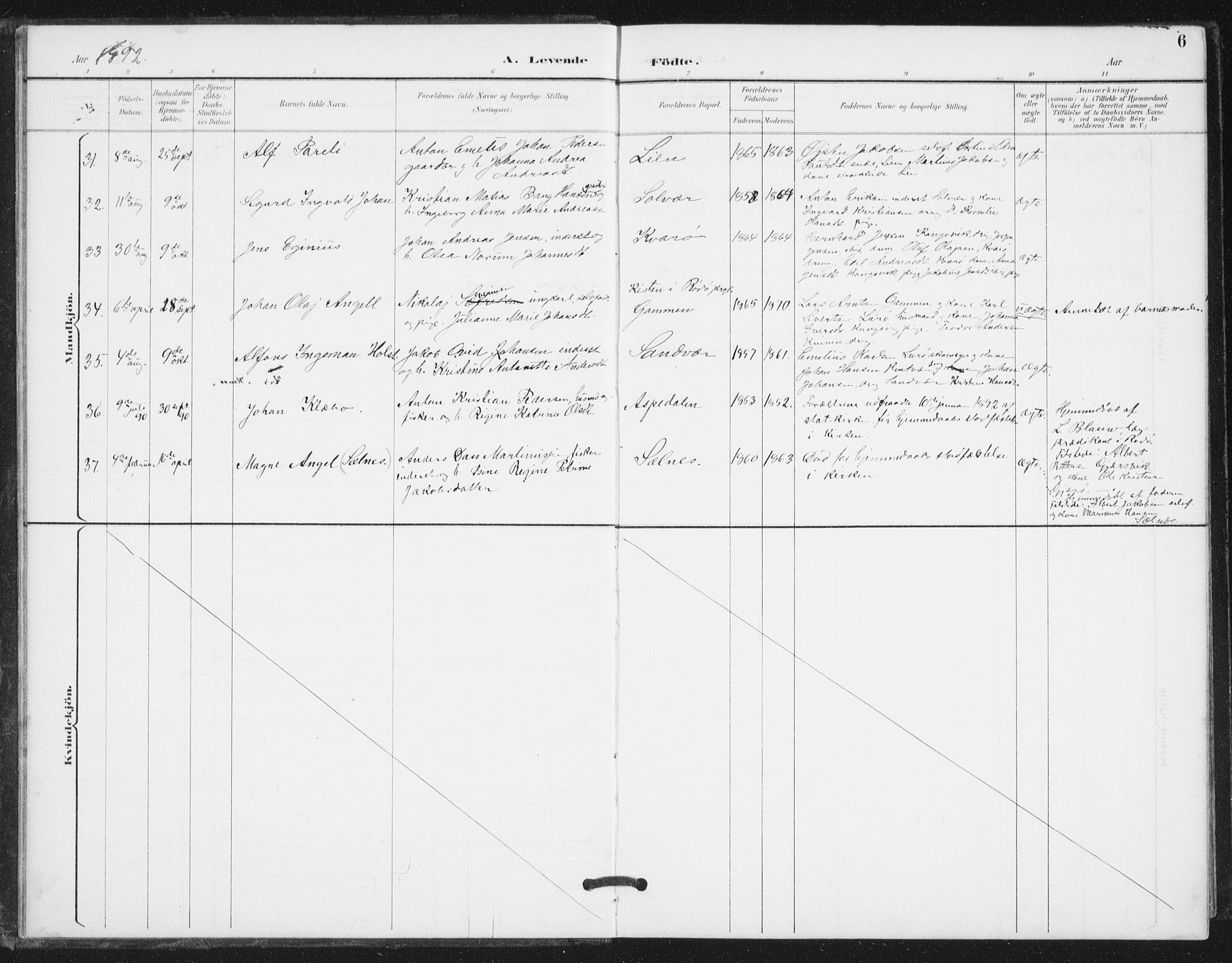 Ministerialprotokoller, klokkerbøker og fødselsregistre - Nordland, AV/SAT-A-1459/839/L0573: Parish register (copy) no. 839C03, 1892-1917, p. 6