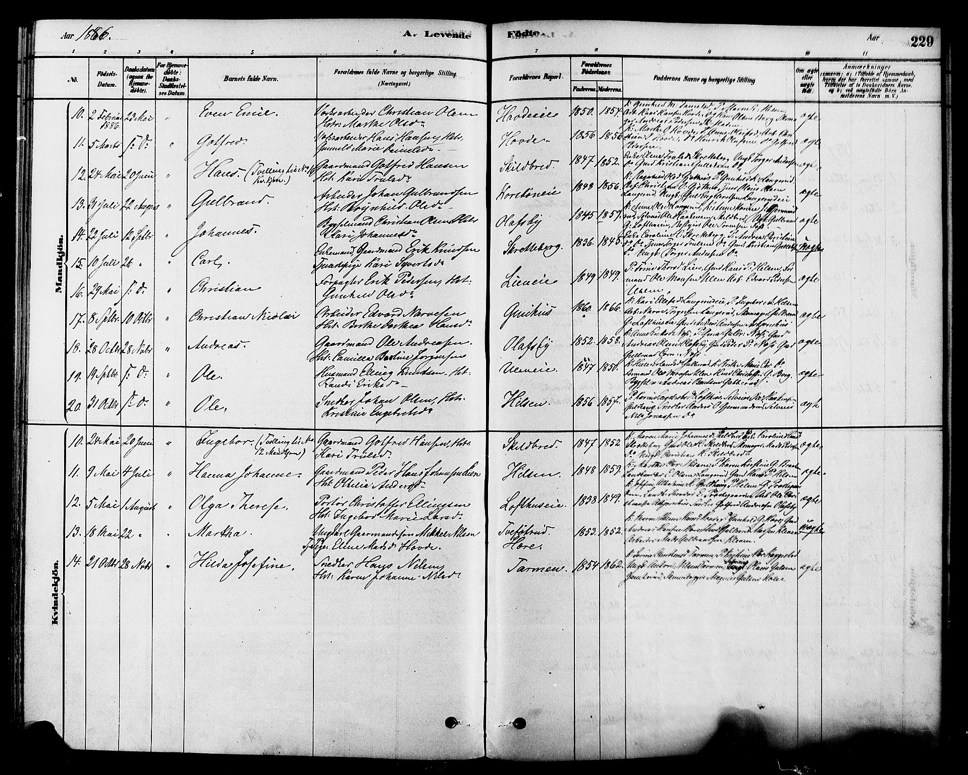 Modum kirkebøker, AV/SAKO-A-234/F/Fa/L0015: Parish register (official) no. 15 /2, 1877-1889, p. 229