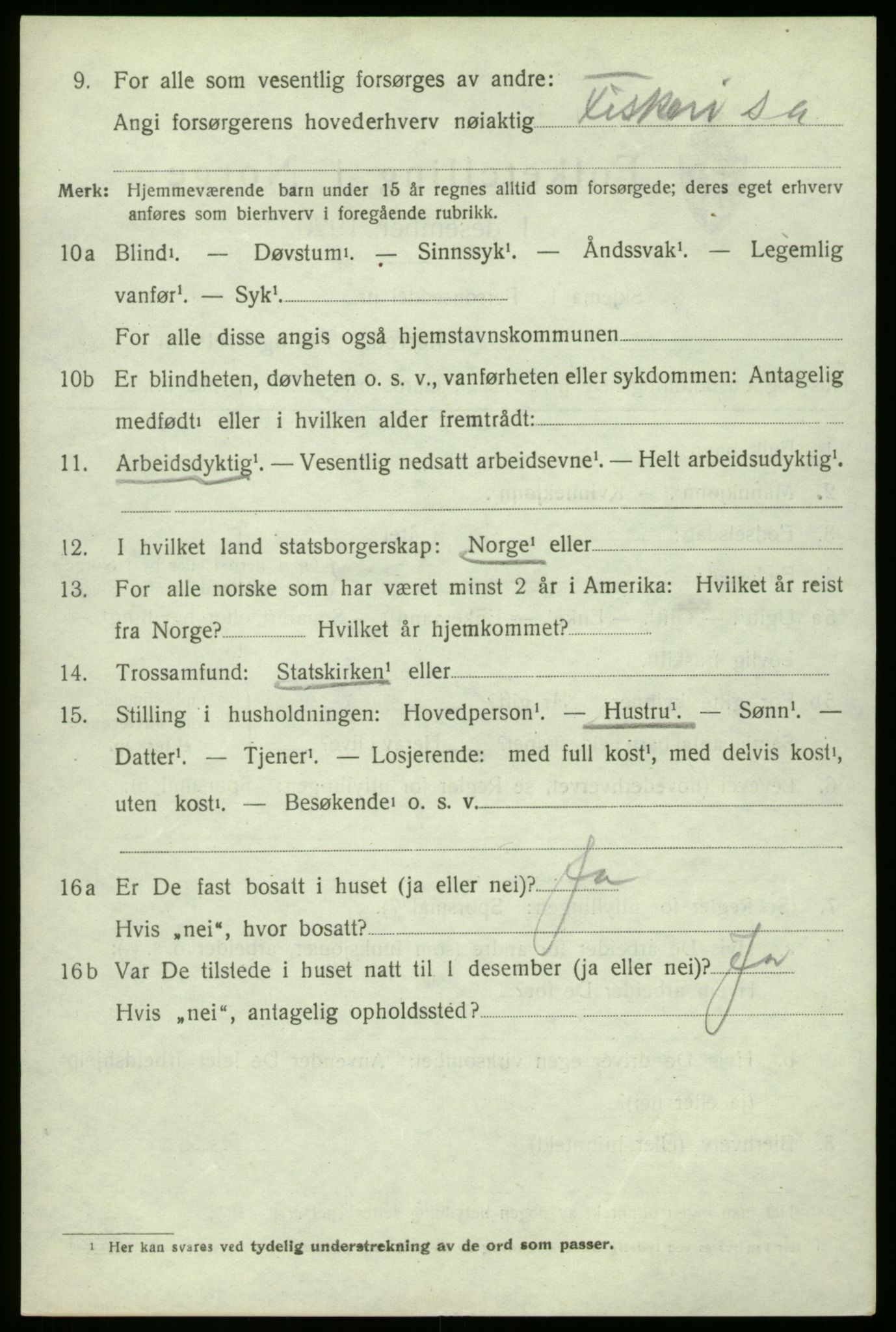 SAO, 1920 census for Hvaler, 1920, p. 4017