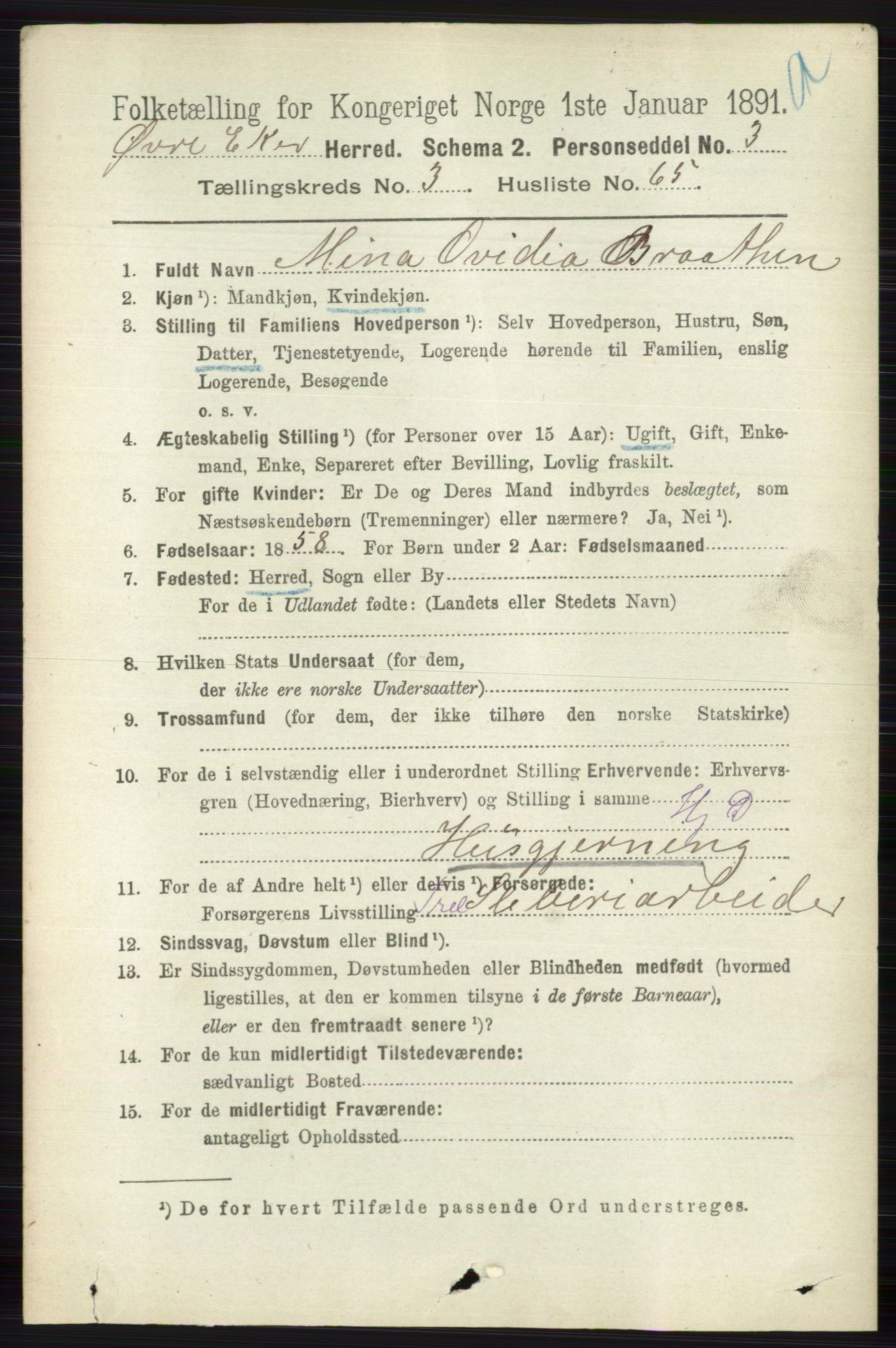 RA, 1891 census for 0624 Øvre Eiker, 1891, p. 1428