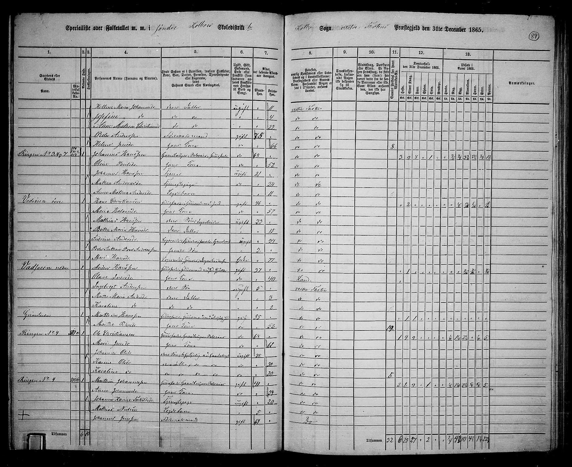 RA, 1865 census for Vestre Toten, 1865, p. 243