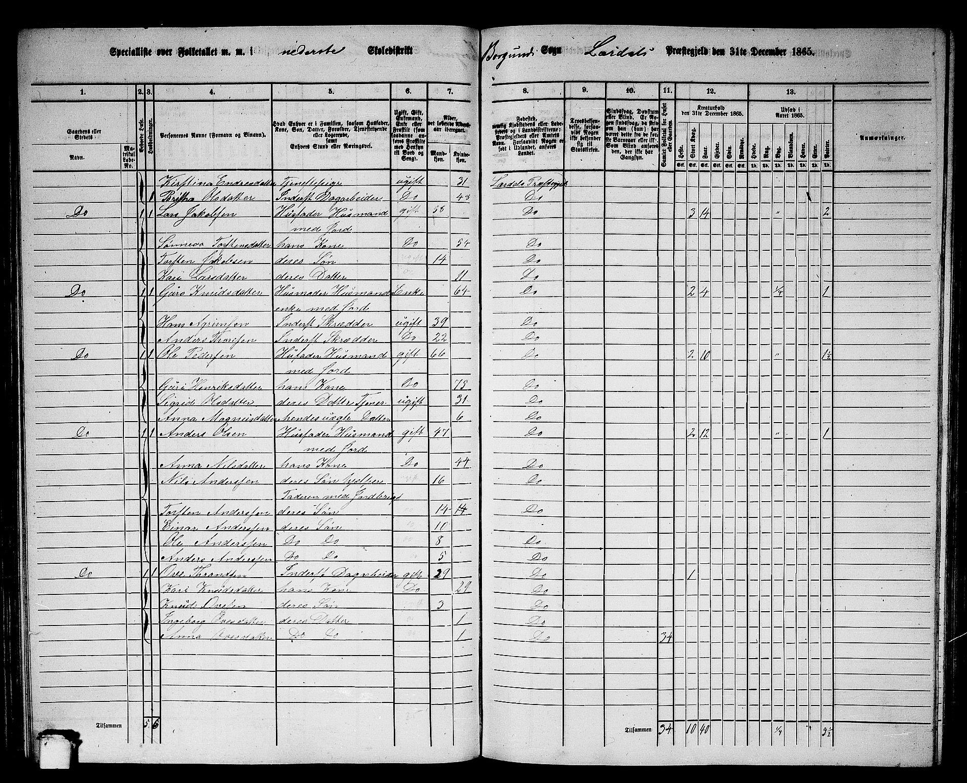 RA, 1865 census for Lærdal, 1865, p. 51