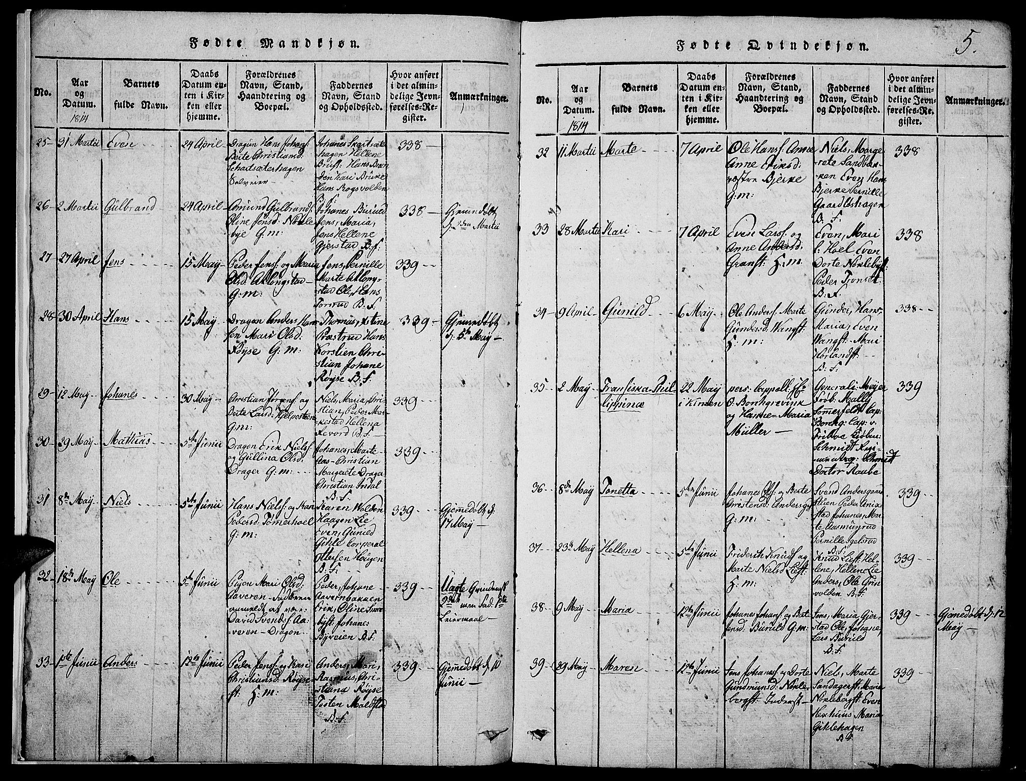 Toten prestekontor, AV/SAH-PREST-102/H/Ha/Haa/L0009: Parish register (official) no. 9, 1814-1820, p. 5