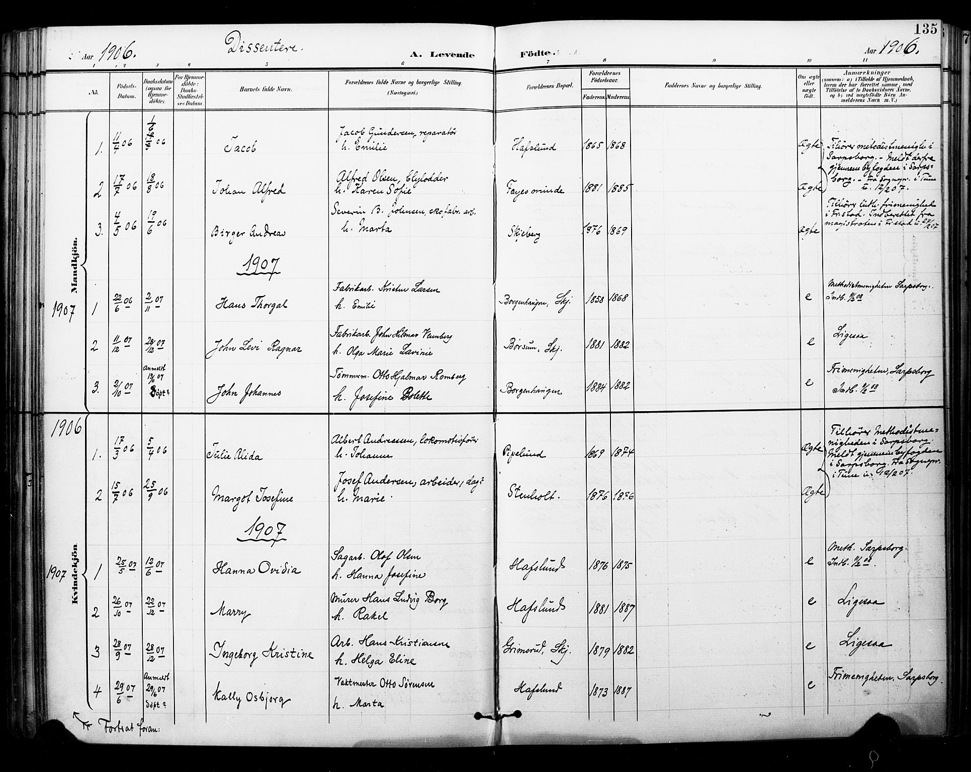 Skjeberg prestekontor Kirkebøker, AV/SAO-A-10923/F/Fa/L0010: Parish register (official) no. I 10, 1898-1911, p. 135