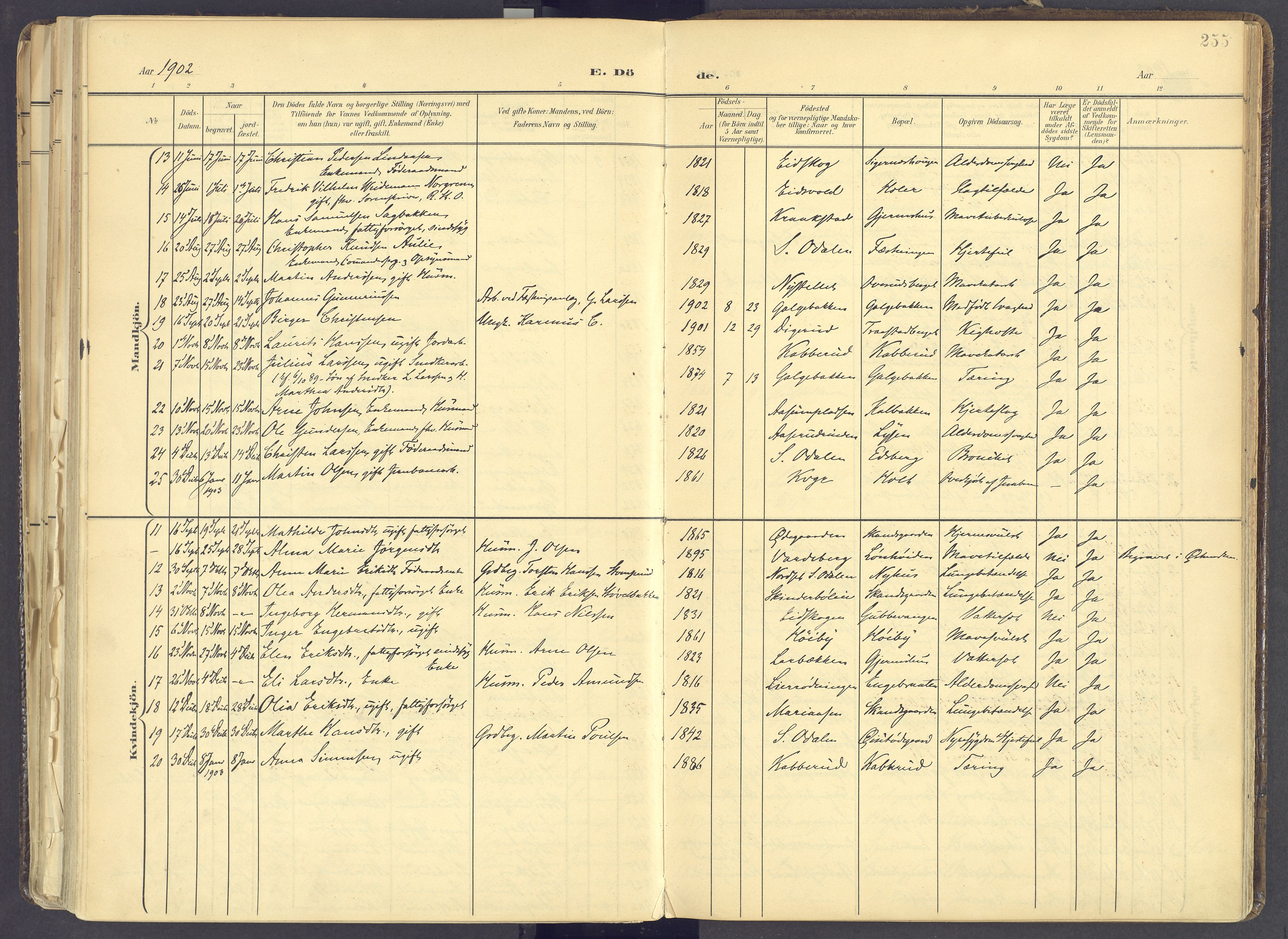 Vinger prestekontor, SAH/PREST-024/H/Ha/Haa/L0017: Parish register (official) no. 17, 1901-1927, p. 255